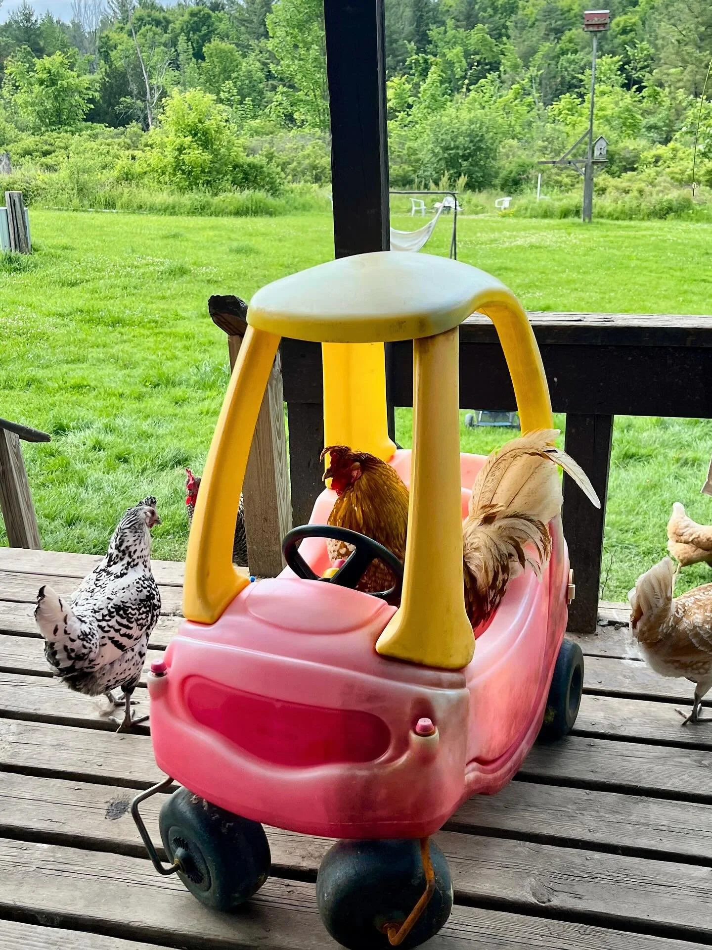 Anybody need a lift?