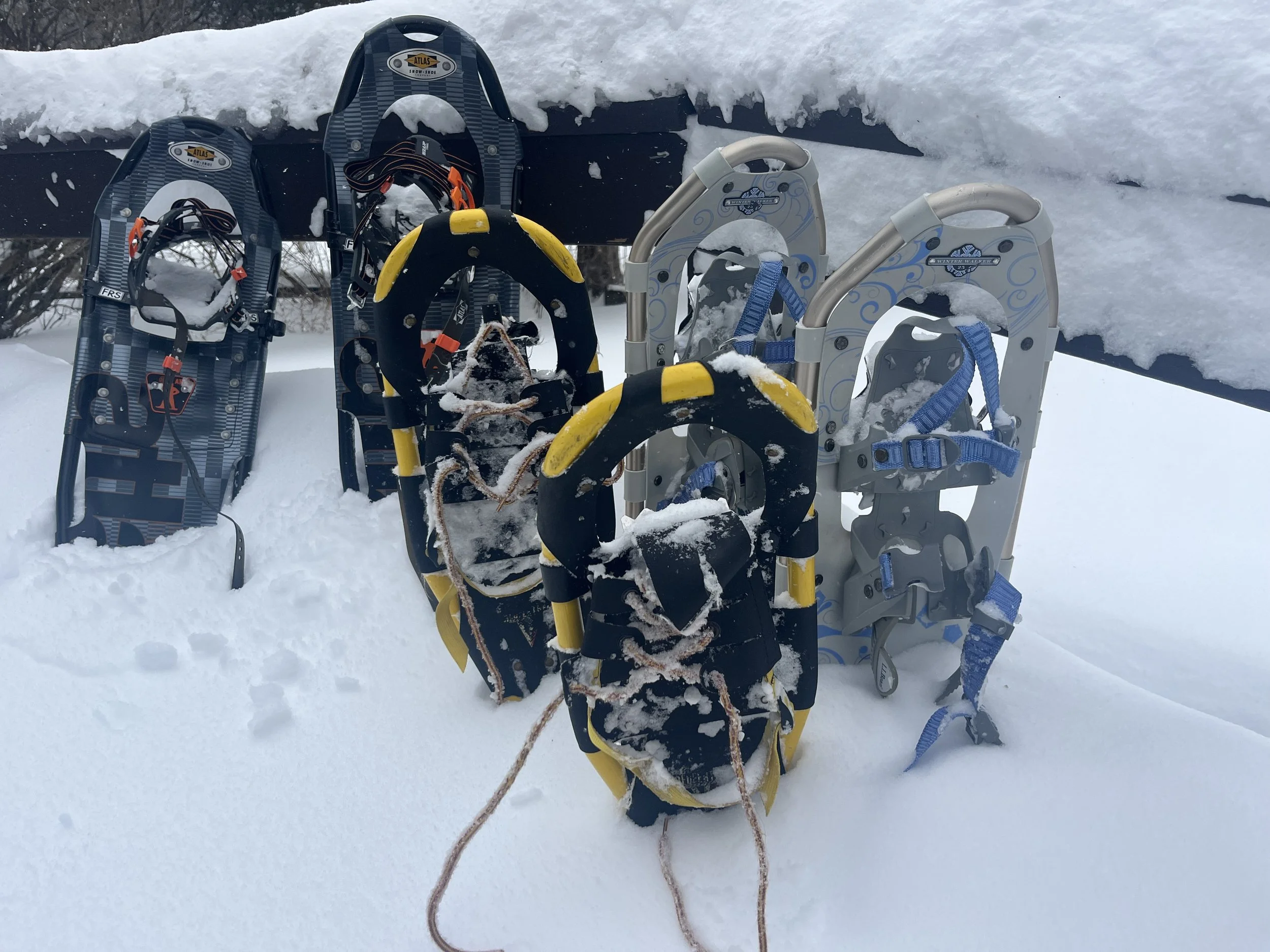 Snowshoe Hike and Craft Beer Tasting