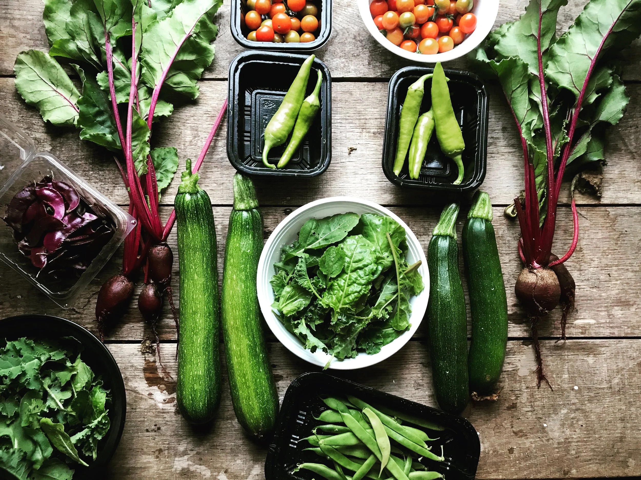 WORKSHOP: Small-Scale Vegetable Production