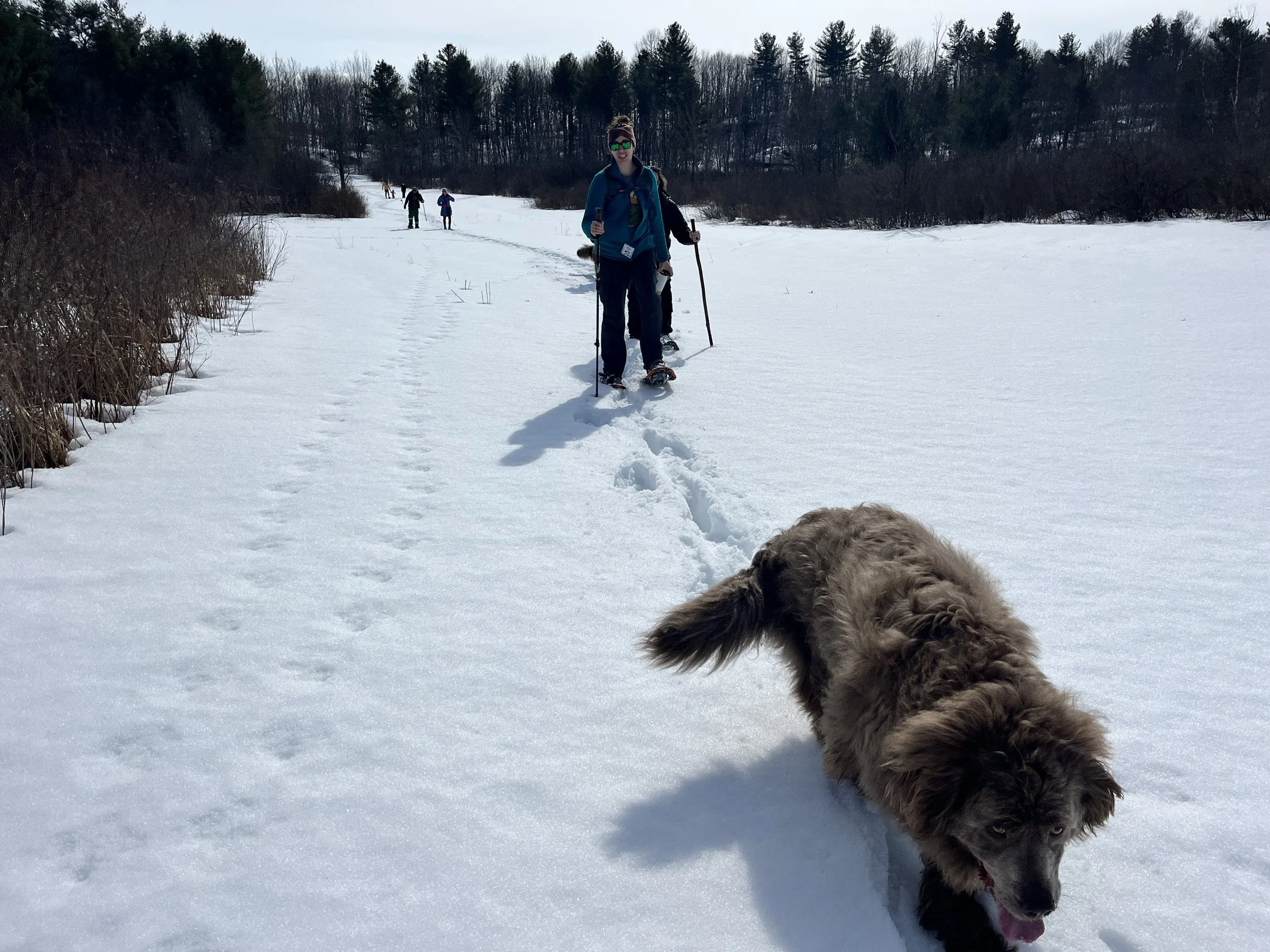 Better Farm's Annual Snowshoe Hike Brings the Sunshine