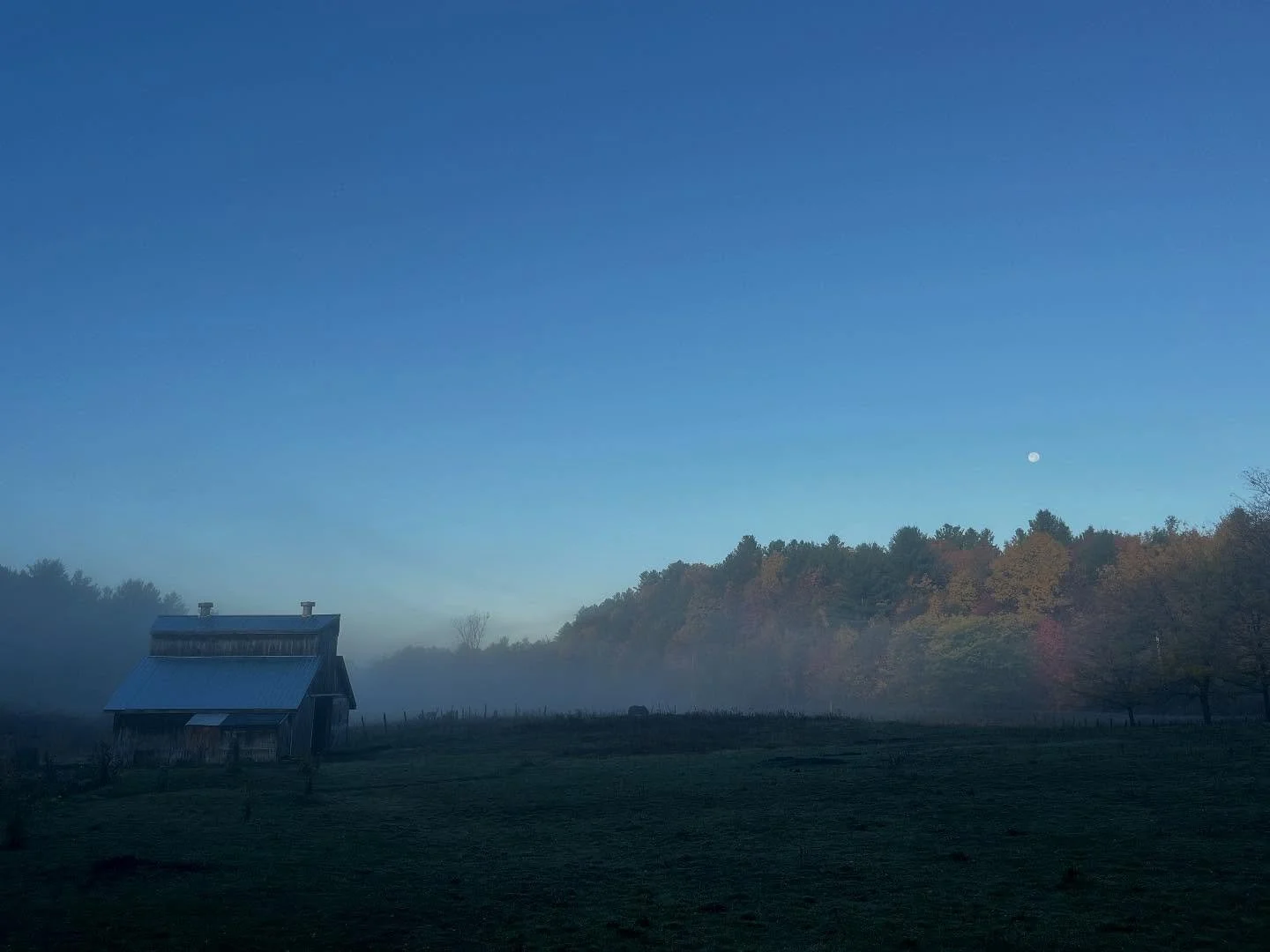 Misty morning stomp with peak peeping 🍃🍂🍁