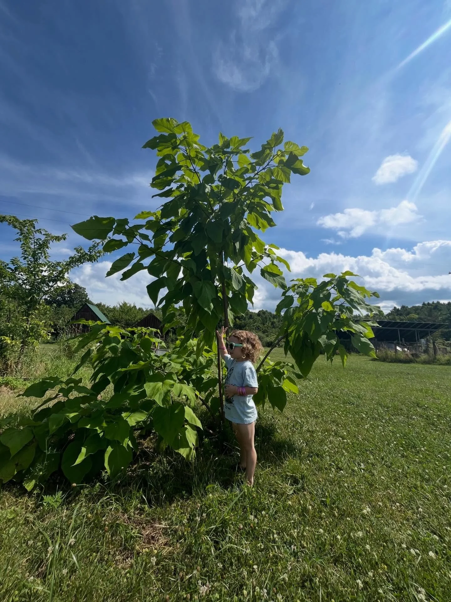 Children of all ages are invited to join us from 11 a.m.-12:30 p.m. this Saturday, May 2, for a free tree-planting event at Better Farm. We will be planting 50 red maple saplings, courtesy of New York State&rsquo;s School Seedling Program, while teac