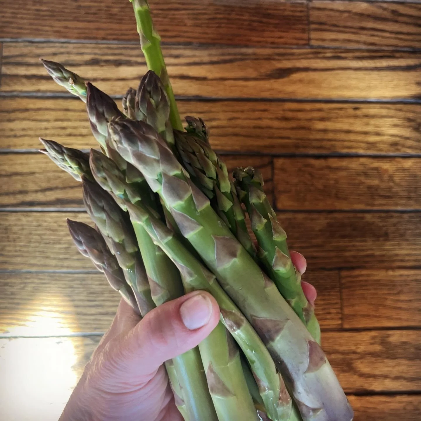 Bumper crop.