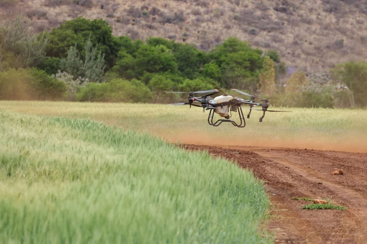 Smart Farming: Driving Sustainable Agriculture in Modern Communities