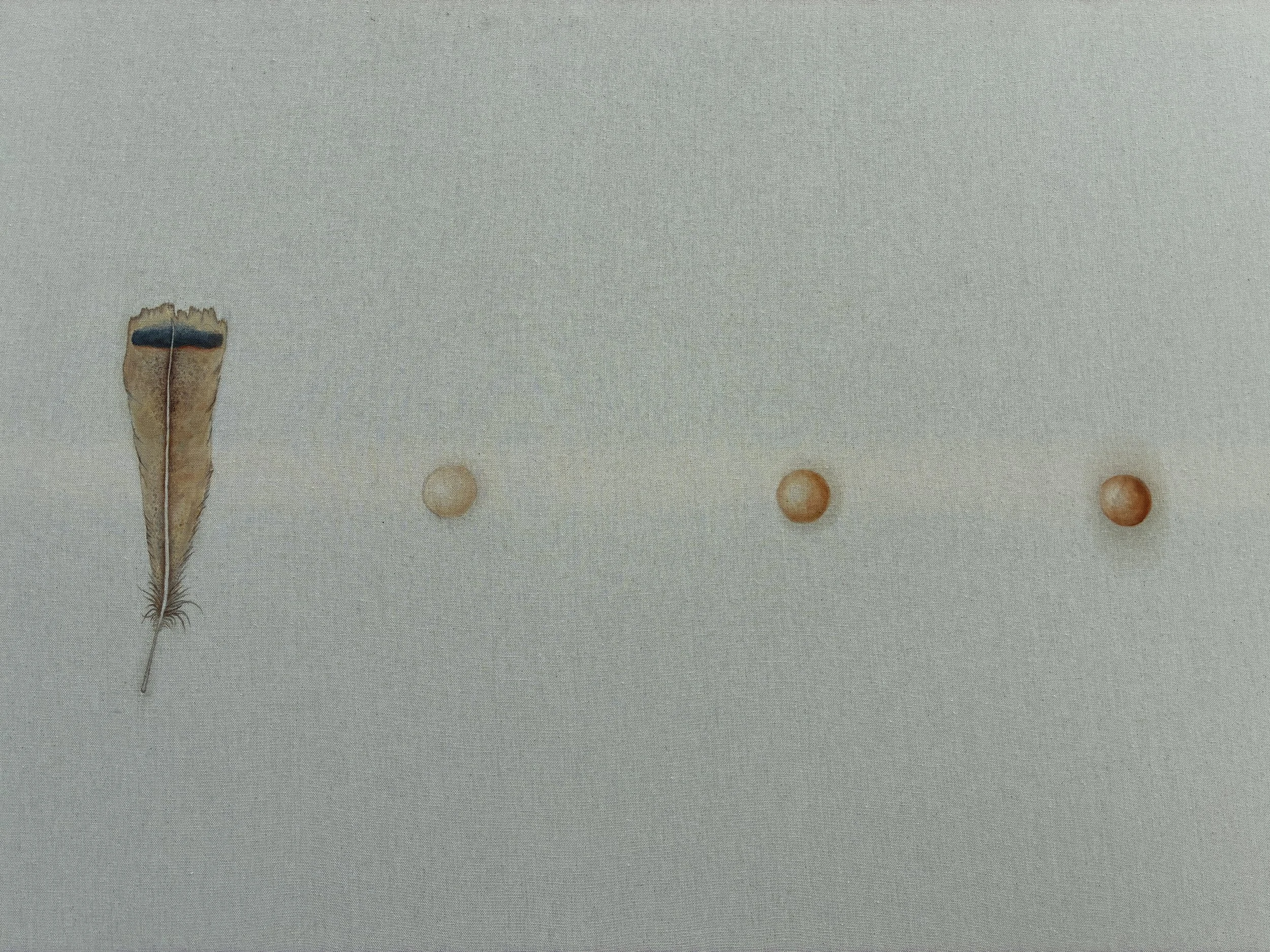 BetterArts Hosts Gallery Reception for Visiting Interdisciplinary Artist Hailey Scheff