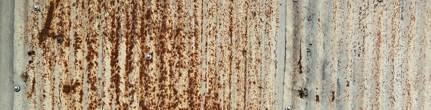 Waverly MILITIA T-Shirt