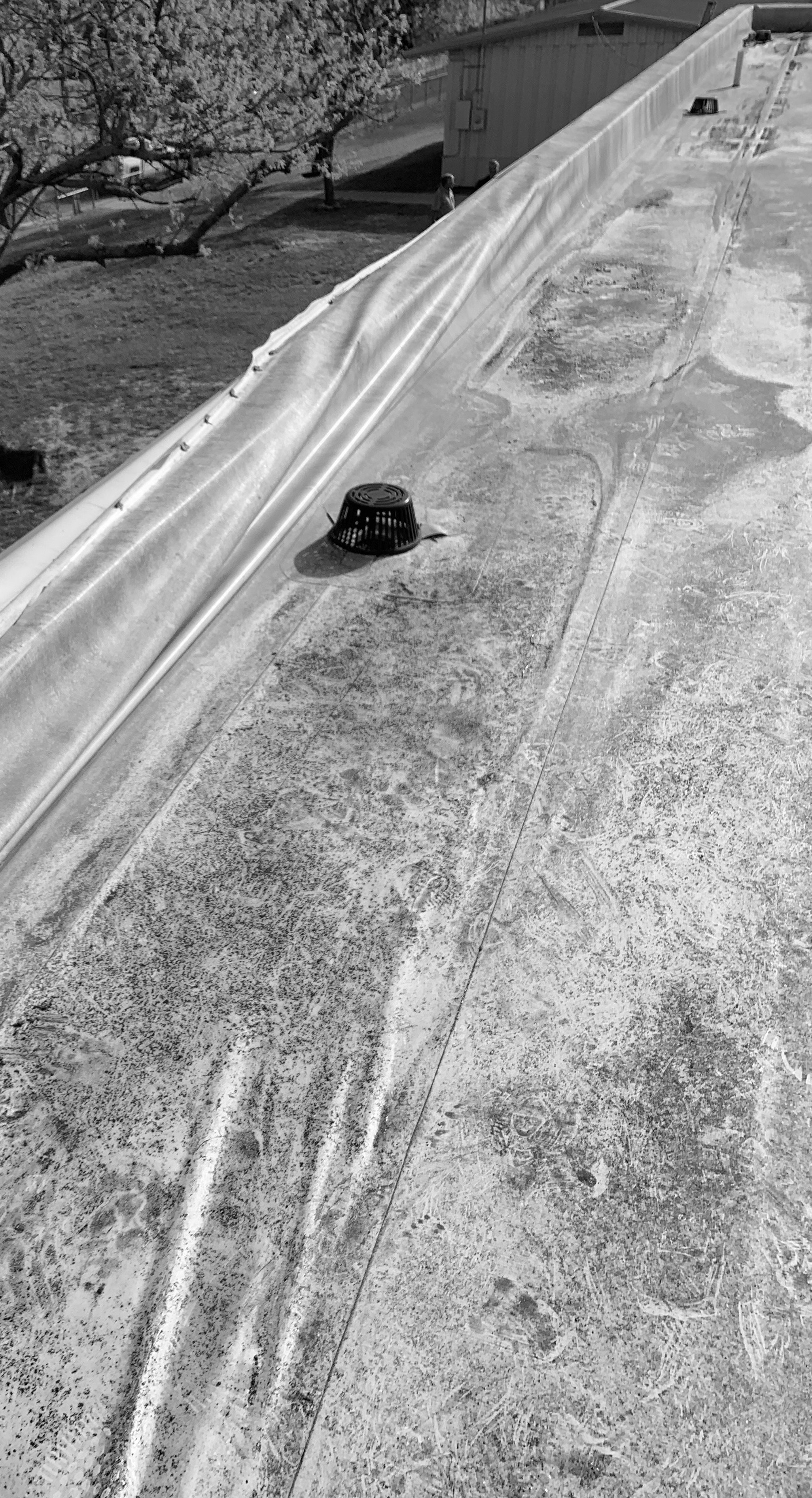 Flat Roofing Eagle Pass, Tx Roofing Del Rio, Singleply membrane Installer, Certified Roof