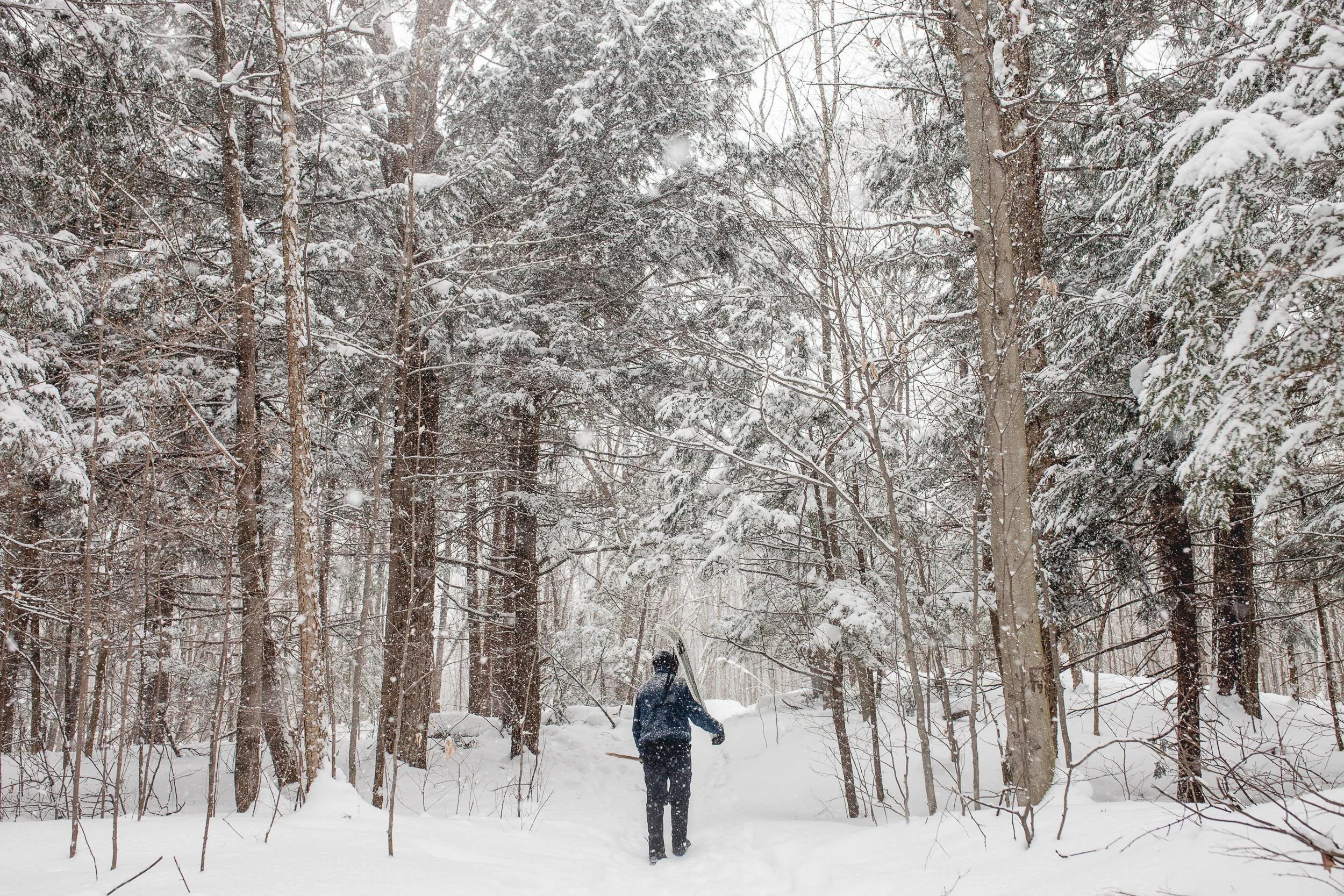 Snowshoeing