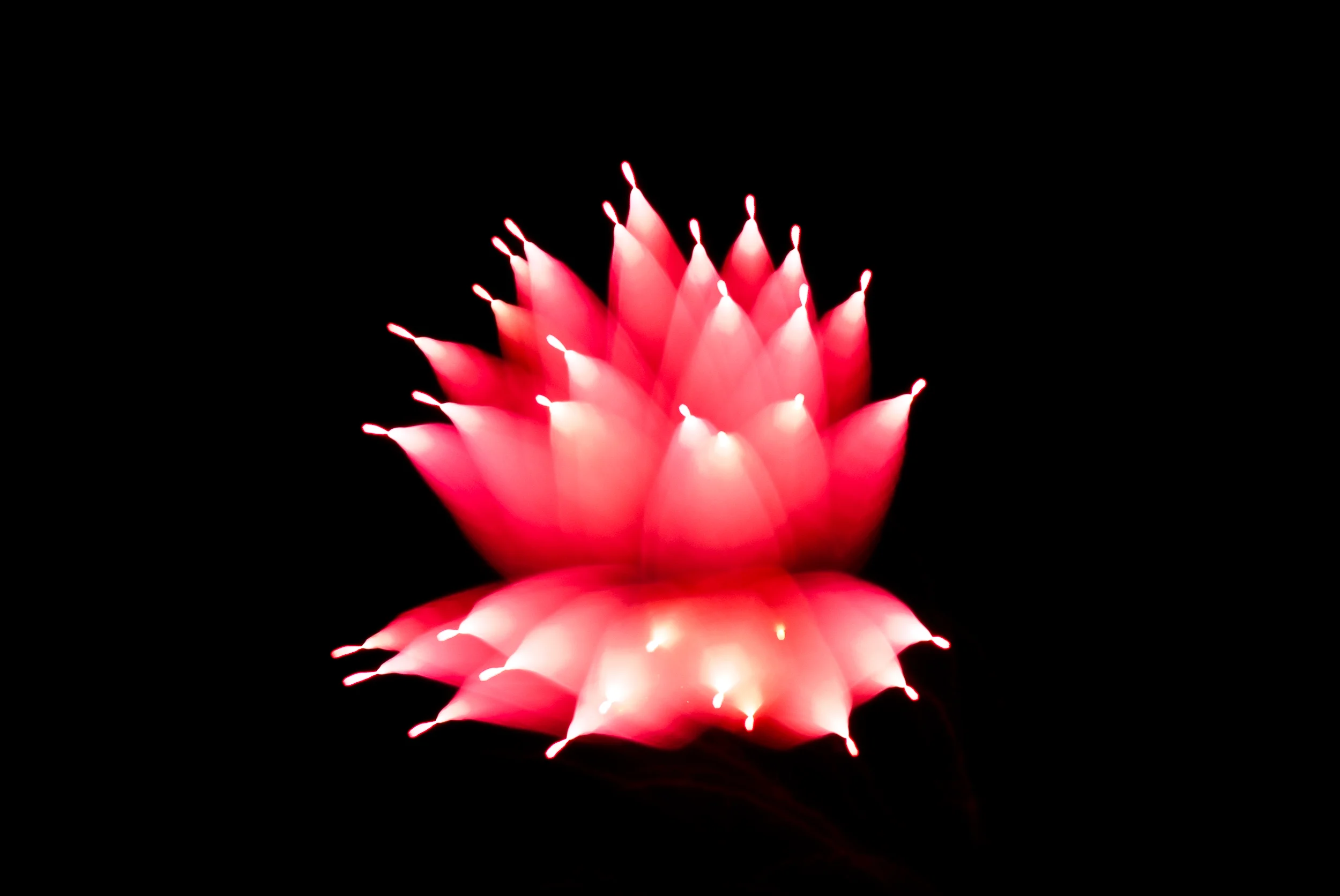 120808-0207-H.jpg