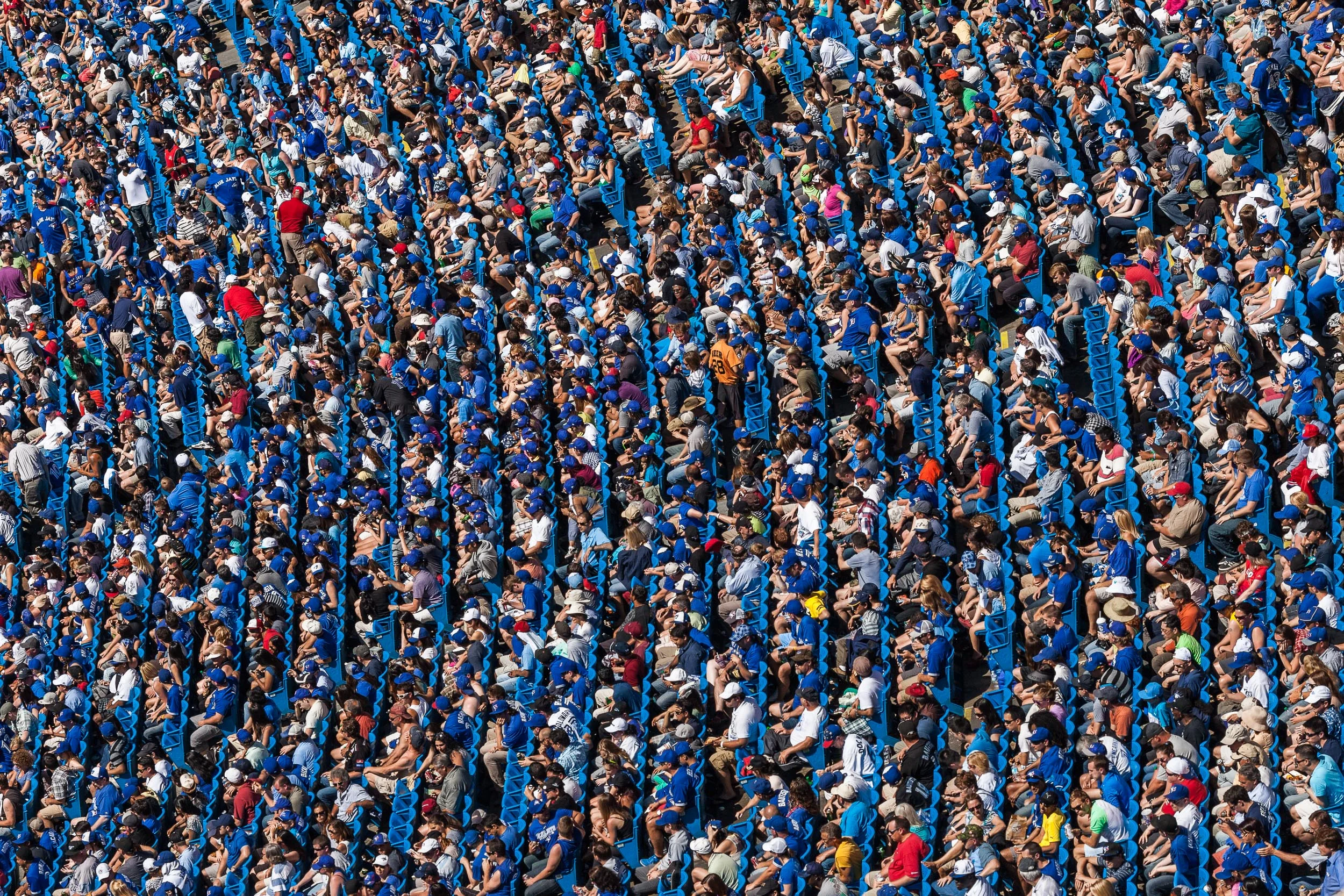Fans in the Stands