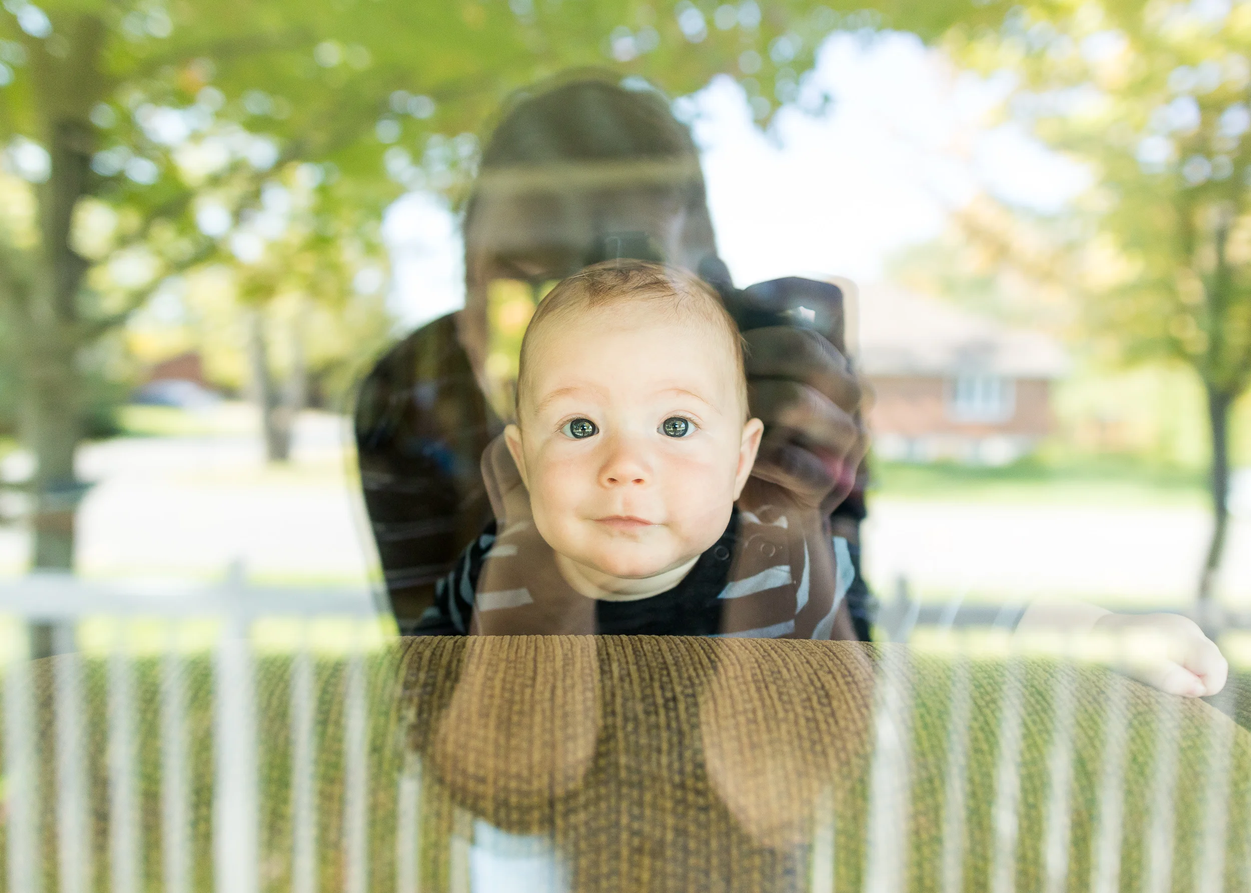 Emmett Likes the Window