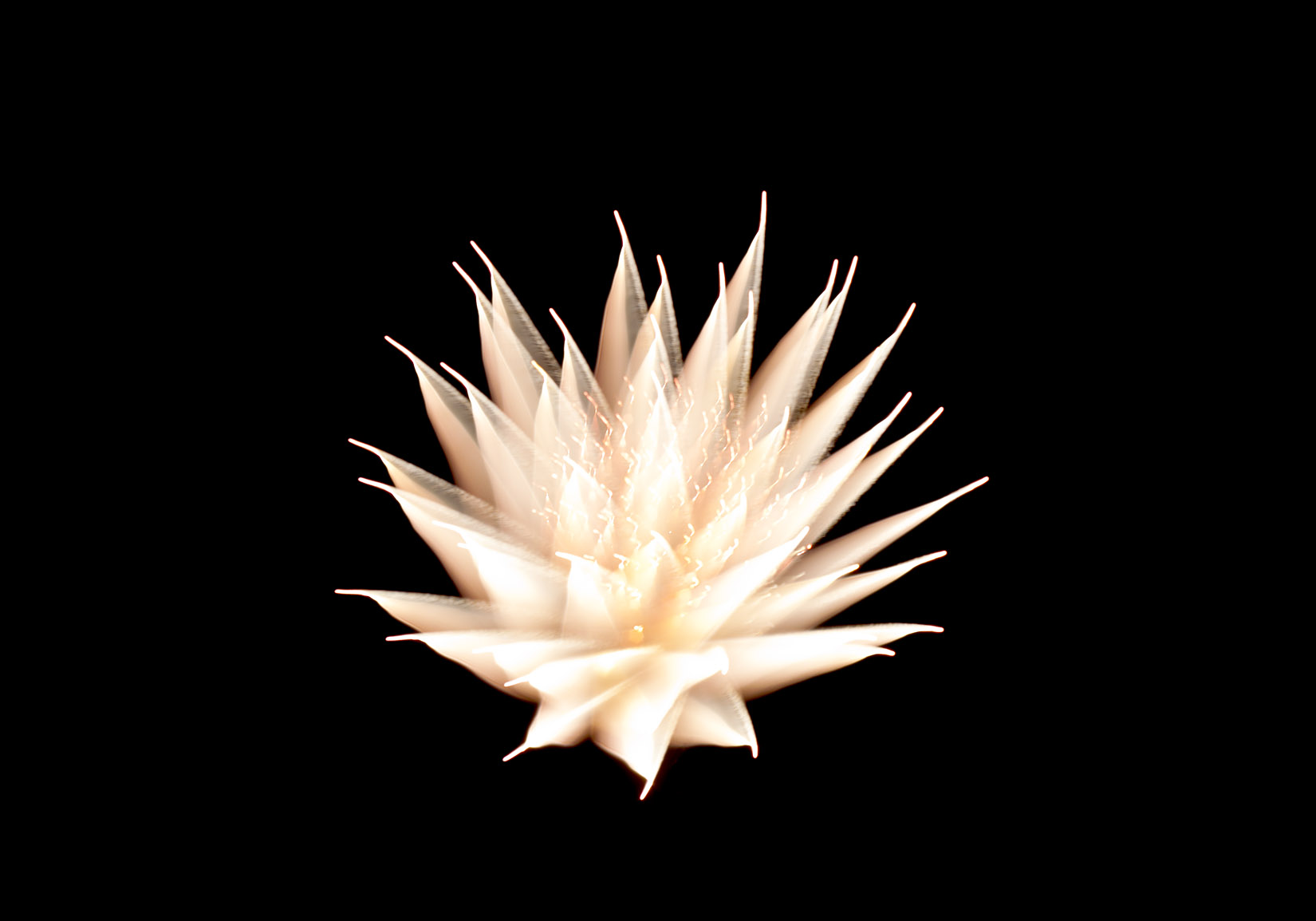 8242868399_43e9a63164_o.jpg