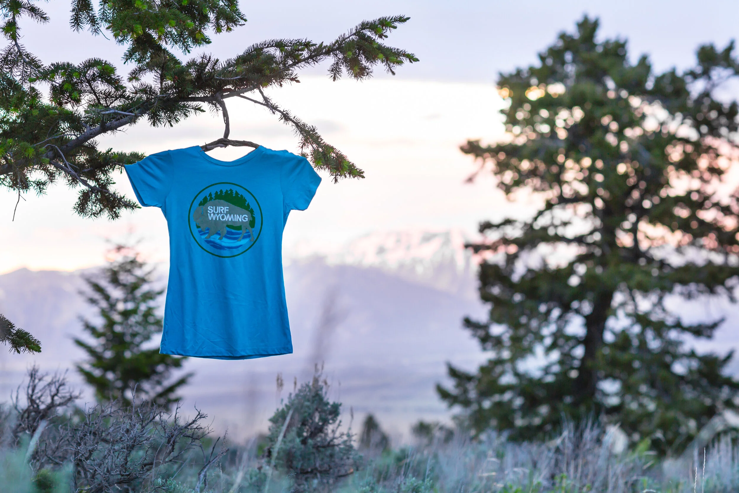 Surf Wyoming Case Study — Bighorn Design Studio