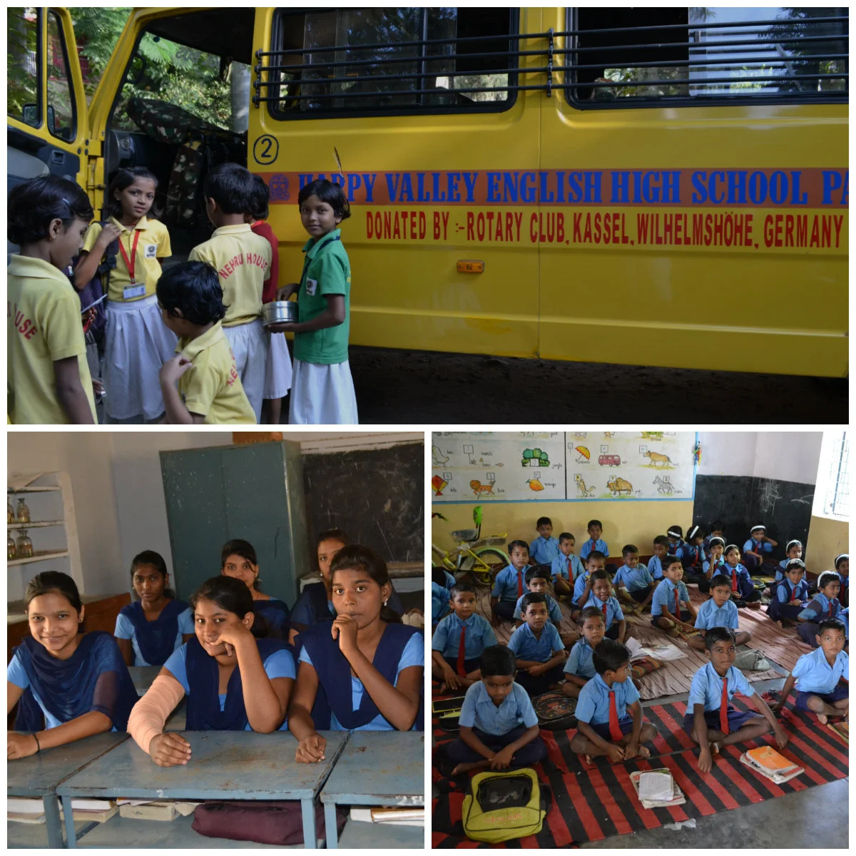 Our Projects for 2017 - 2018