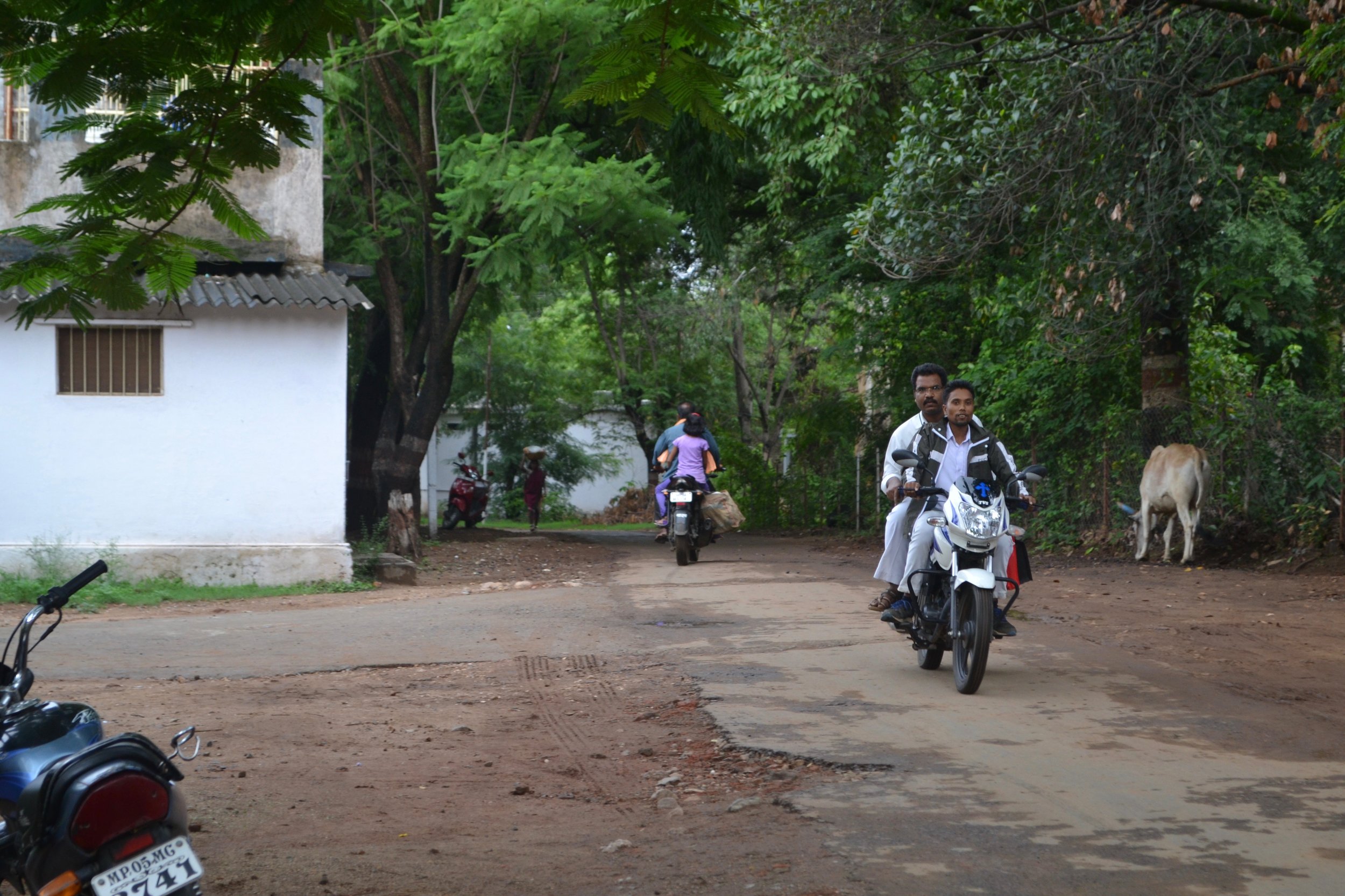 DSC_0169.jpg