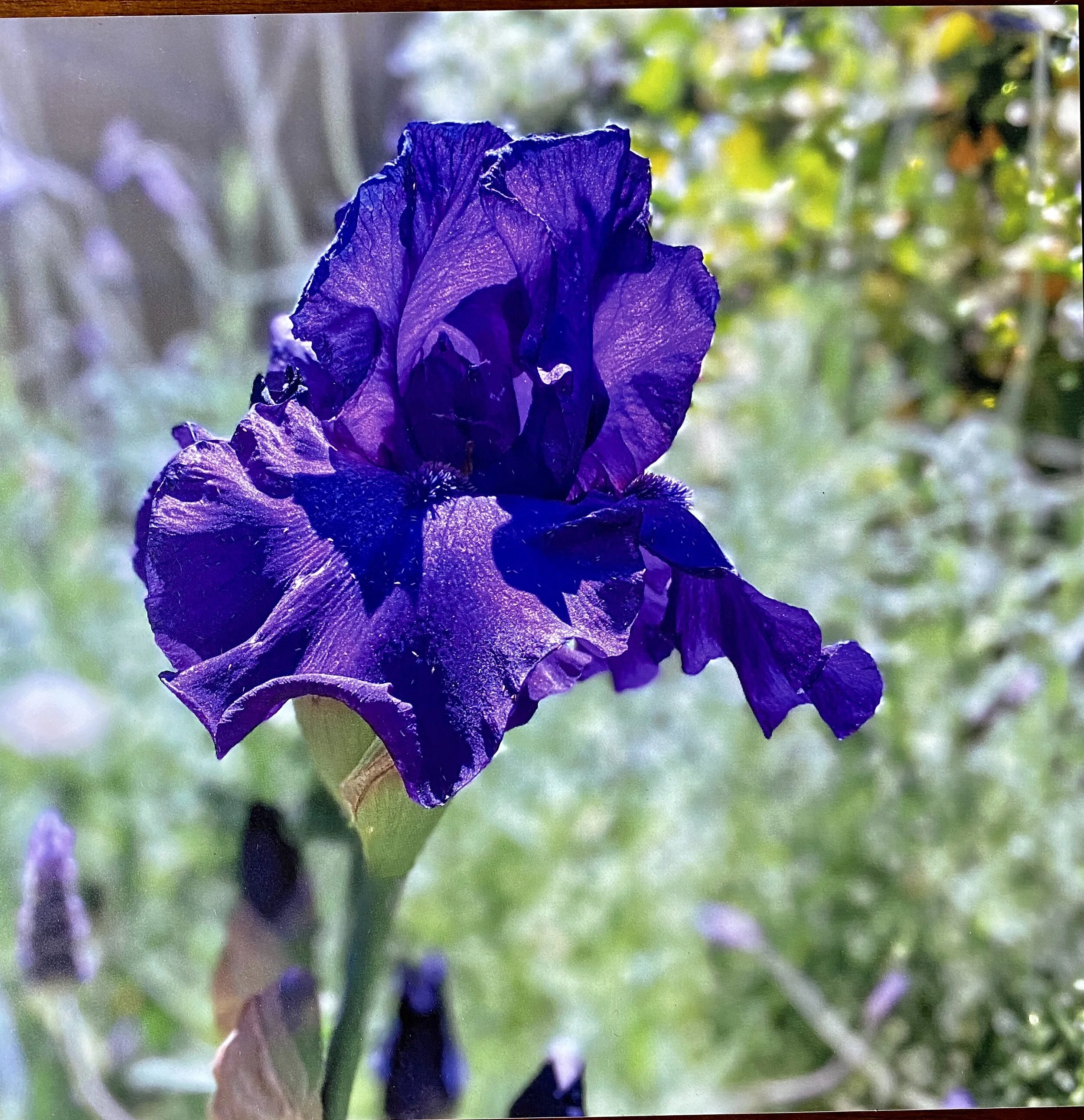 Summer Arts and Crafts Sale - Success!