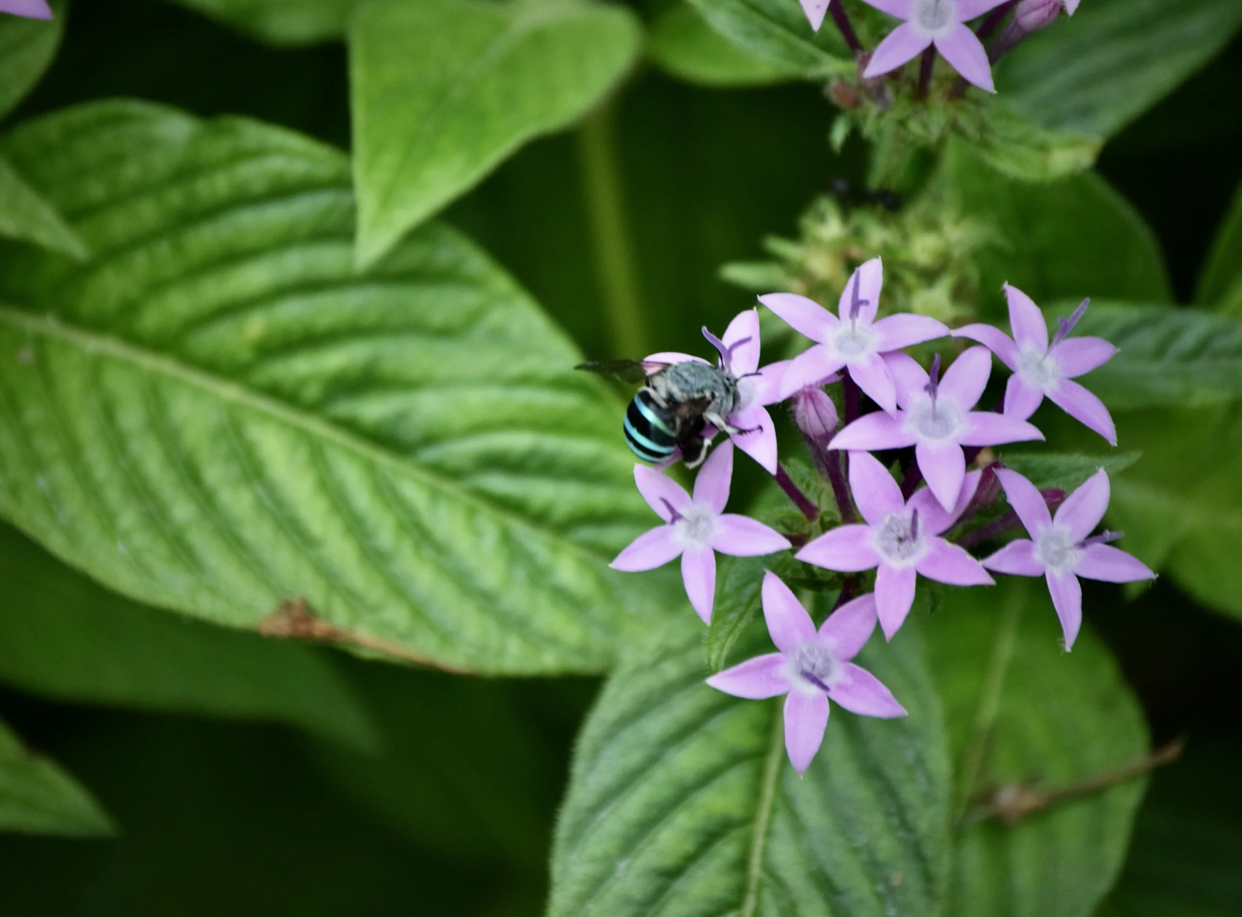 Getting Ready, Part 2