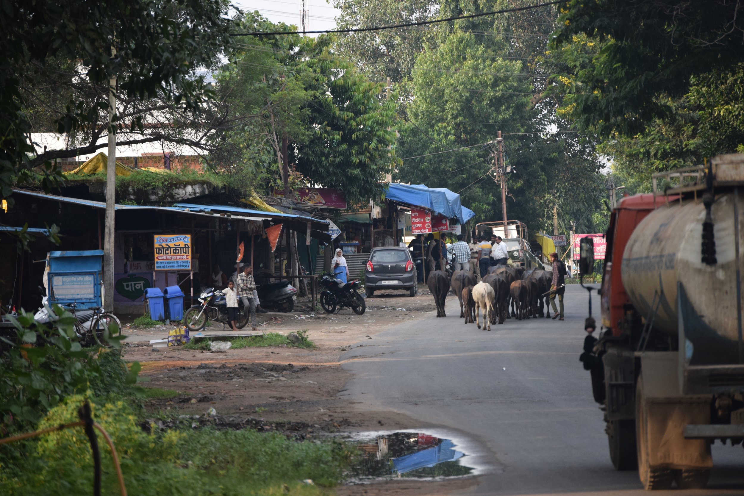Sunday Walk in Padhar