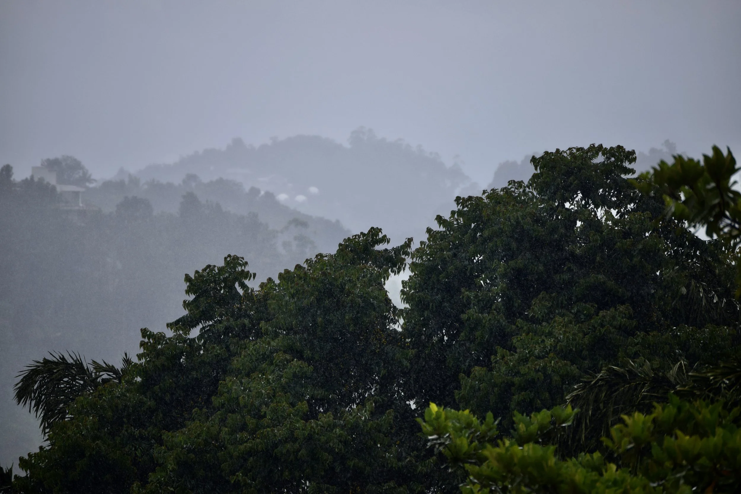 DSC_0106.JPG