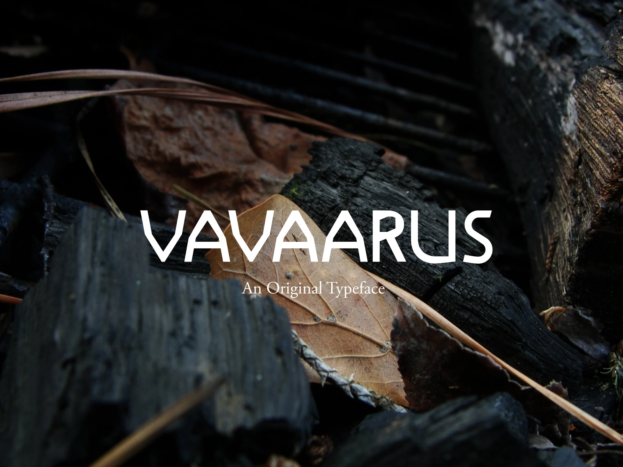 Vavaarus cover.jpg