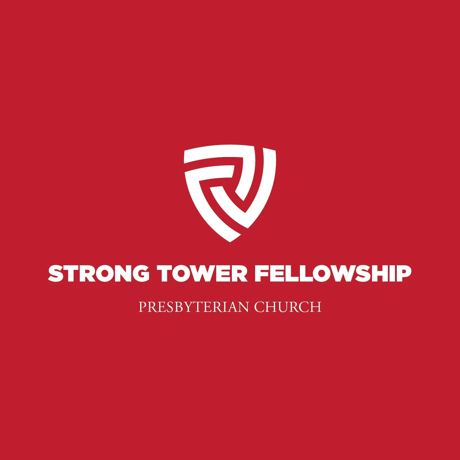 STF logo.jpg