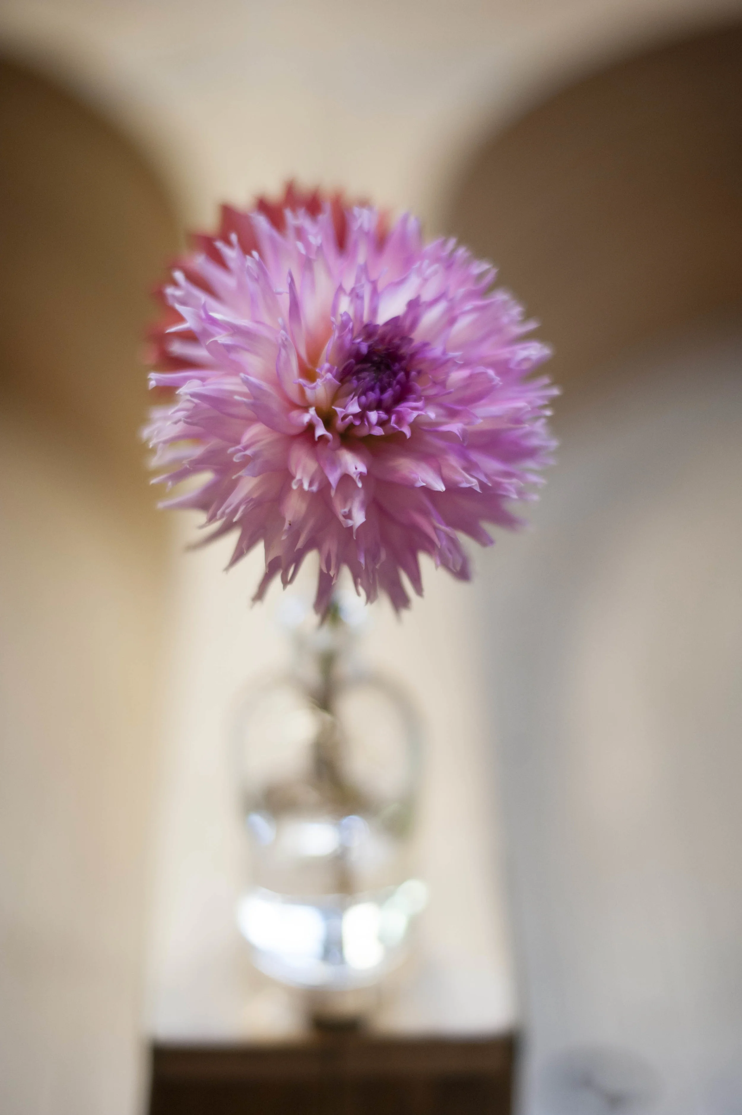 Sacco_Bowling_Alley_Somerville_Wedding053.jpg