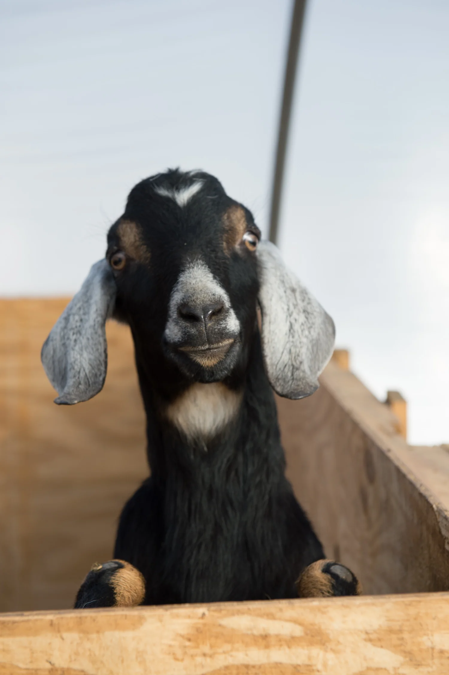 Hartman_Farm_Edible_Boston001.jpg