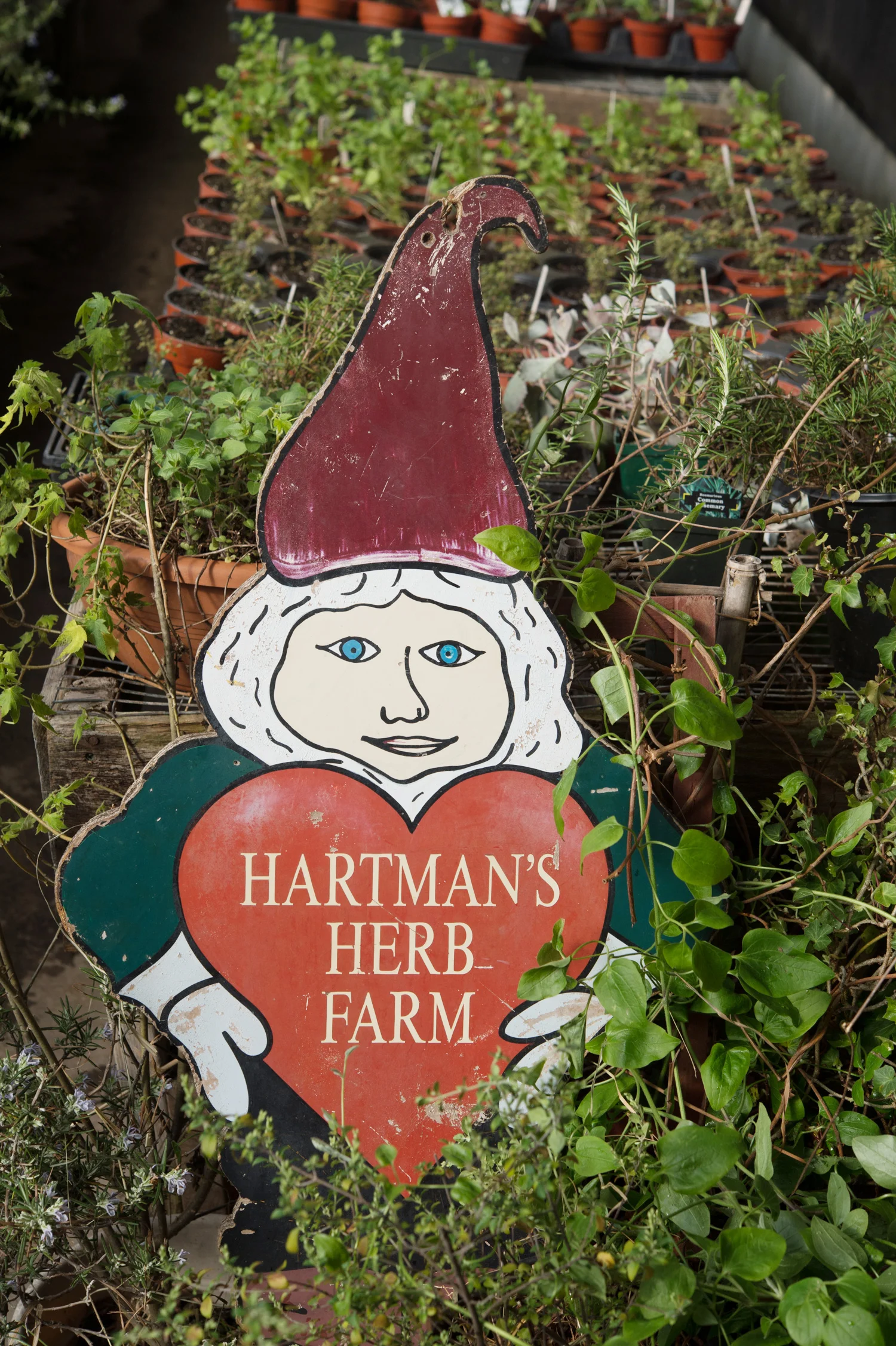 Hartman_Farm_Edible_Boston006.jpg