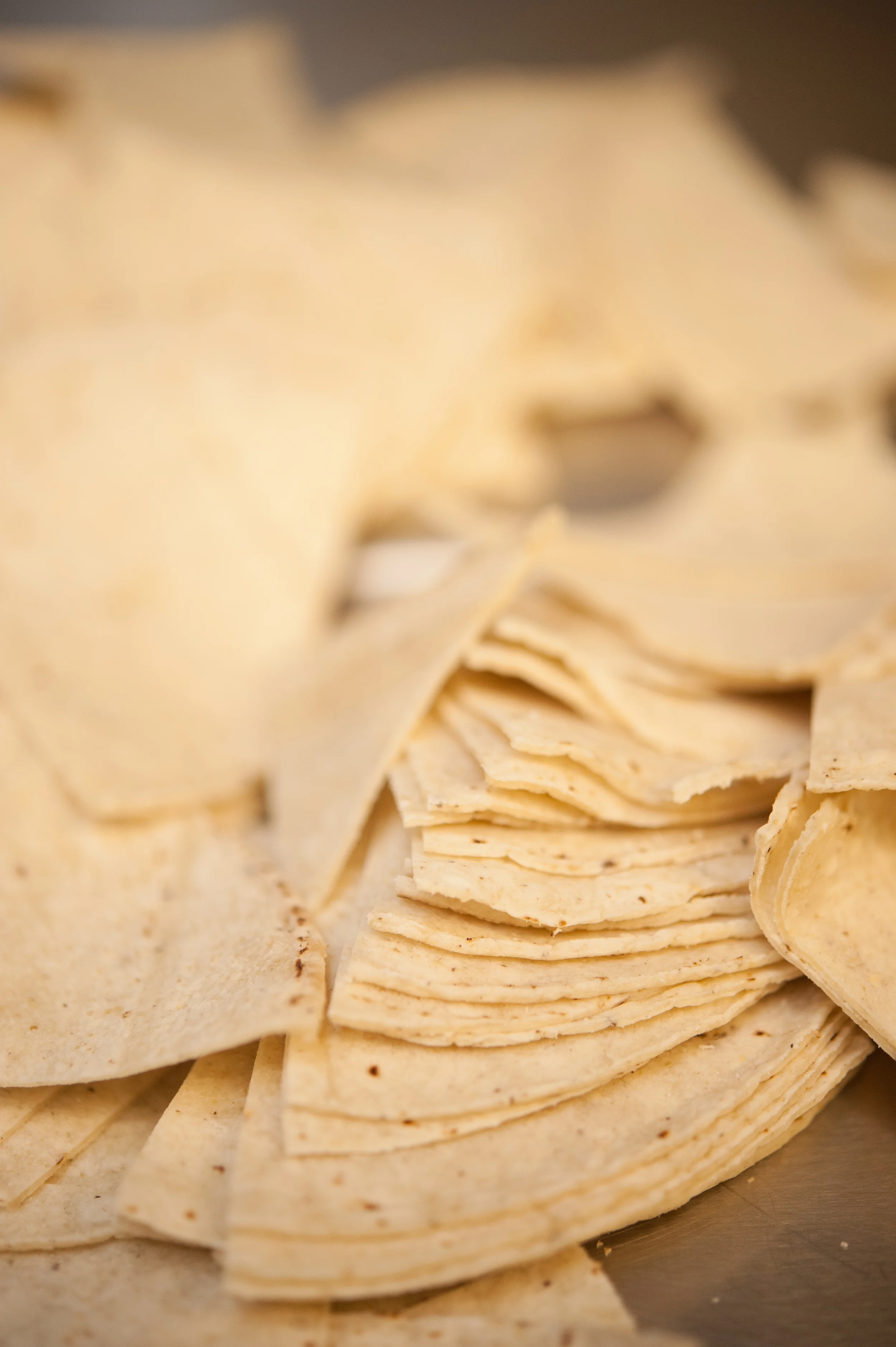 Edible_Boston_Magazine_La_Nina_Chips015.jpg
