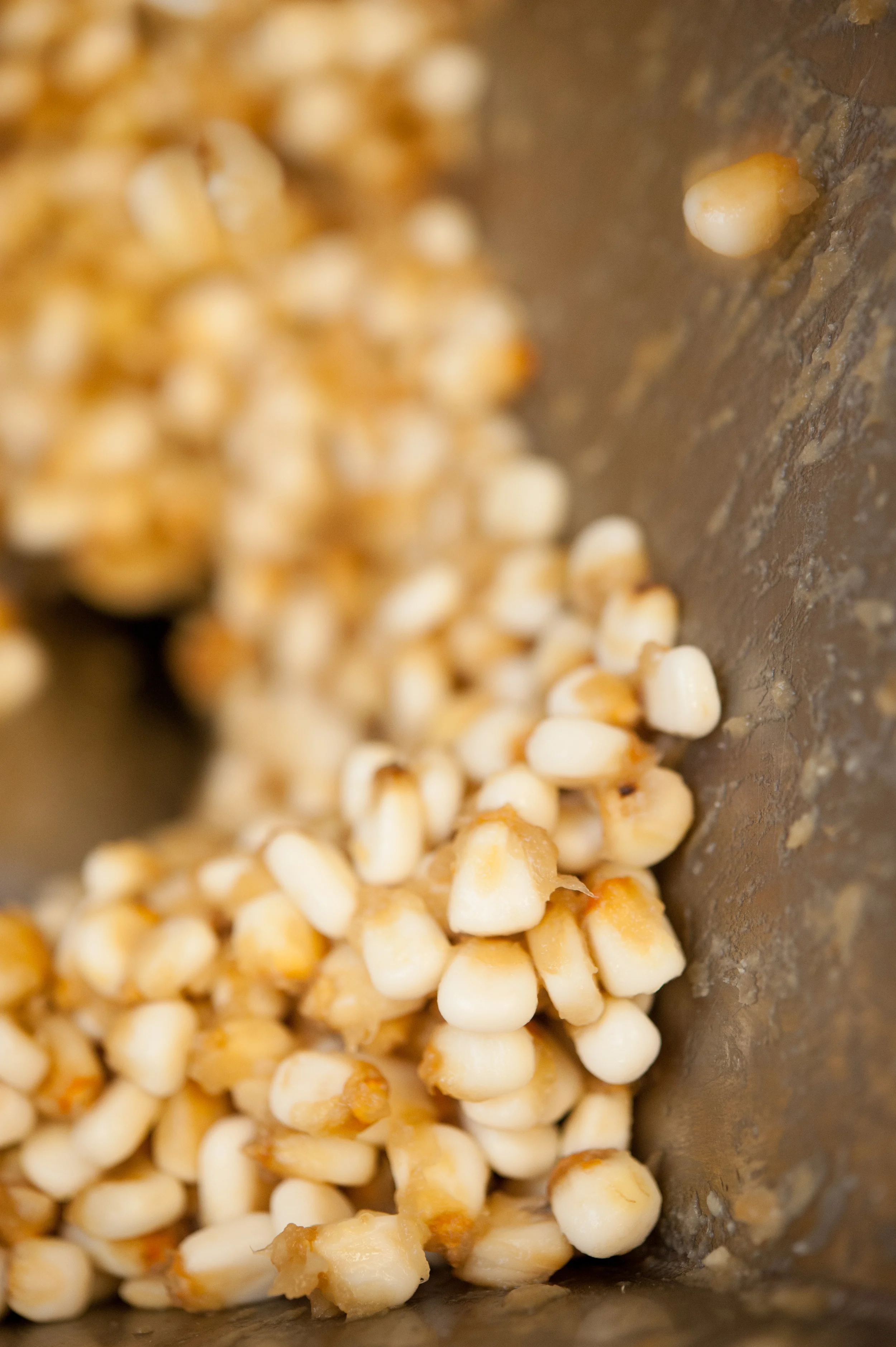Edible_Boston_Magazine_La_Nina_Chips004.jpg