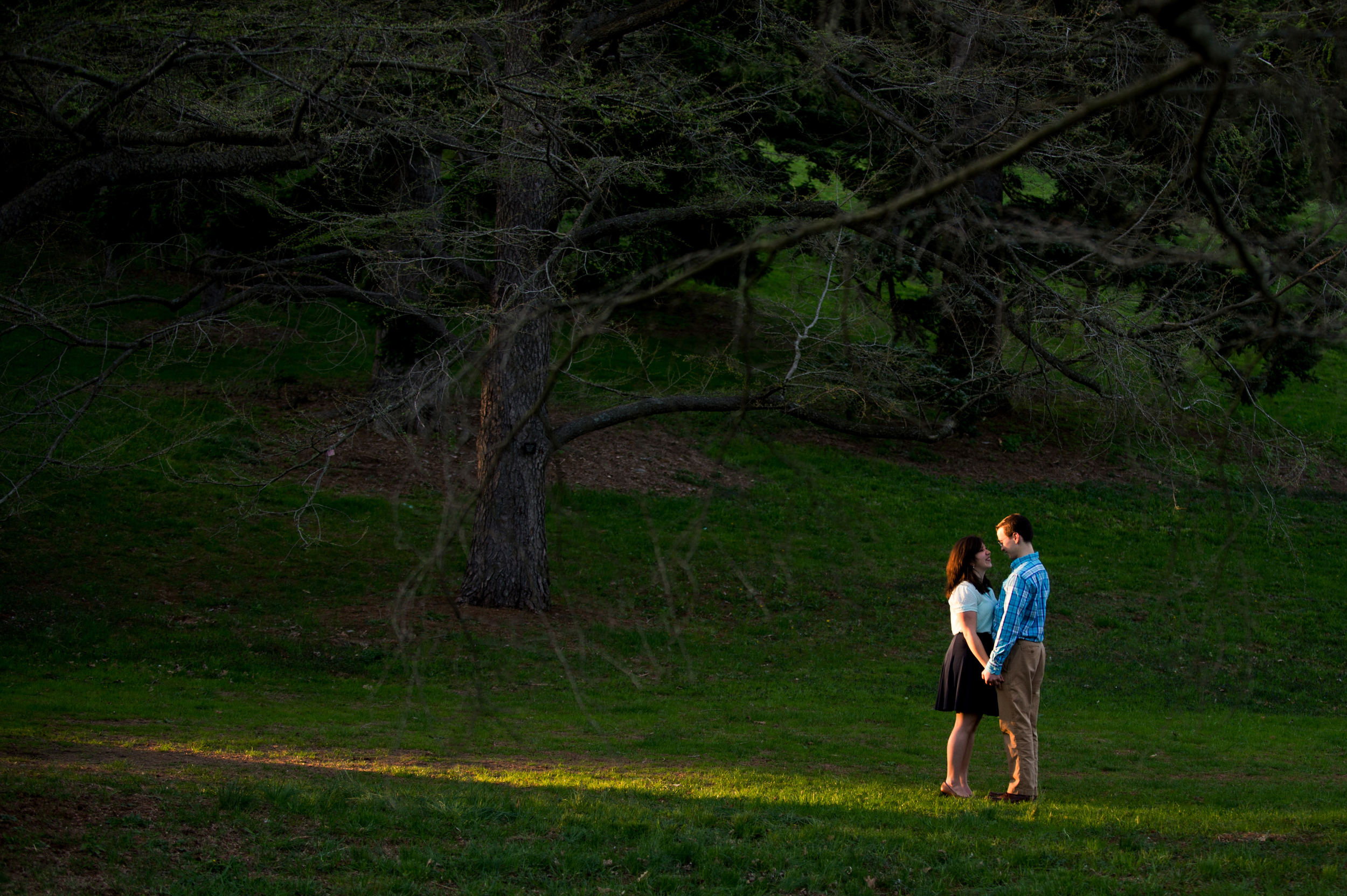 Brookline_Arnold_Arboretum_Engagement003.jpg