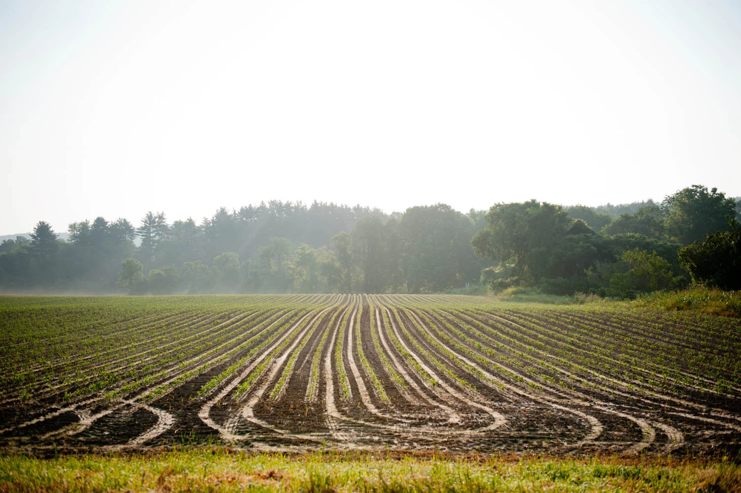 Four_Star_Farms_Yankee_Magazine001.jpg