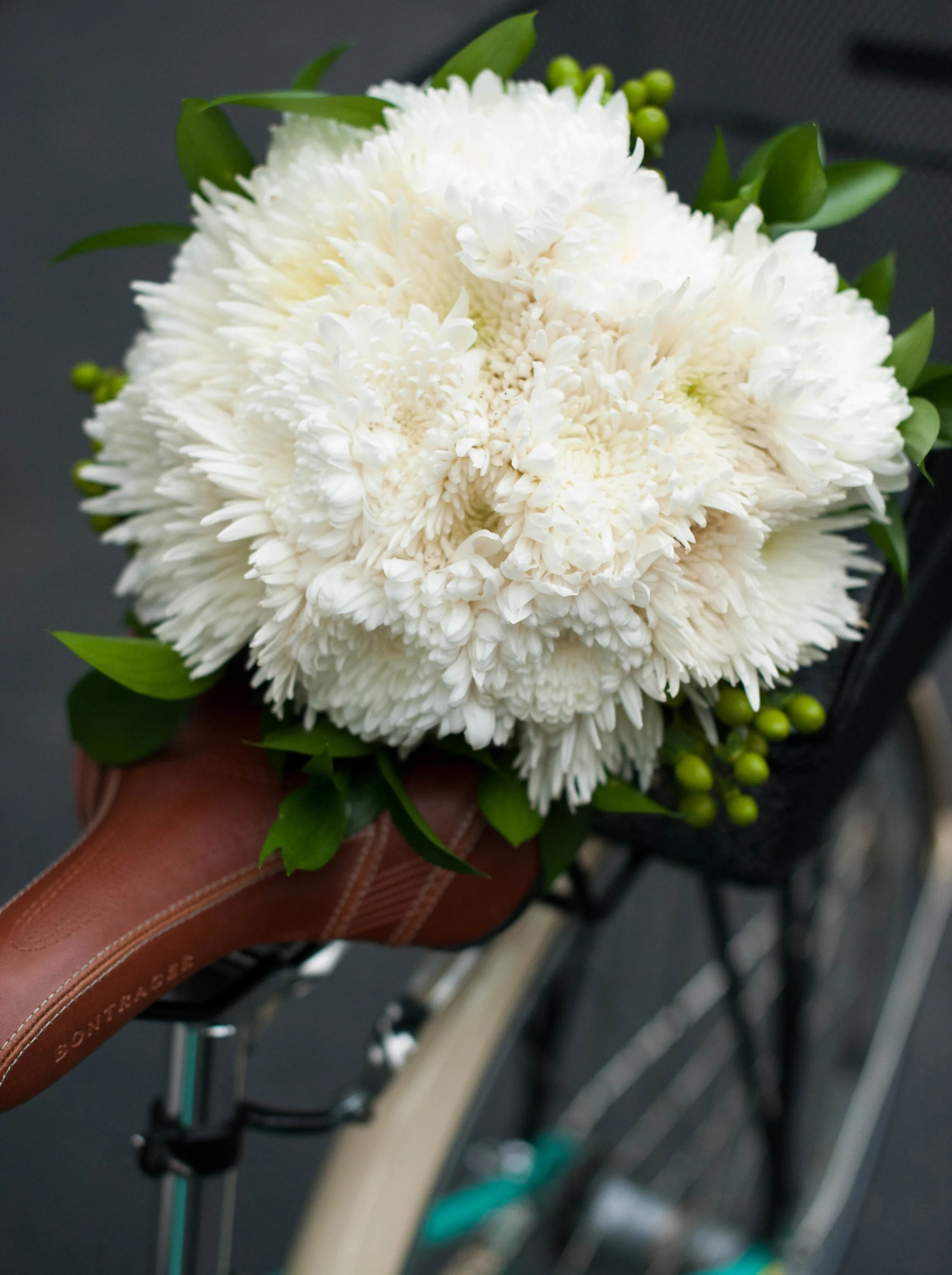 Royal_Sonesta_Cambridge_Wedding-7.jpg