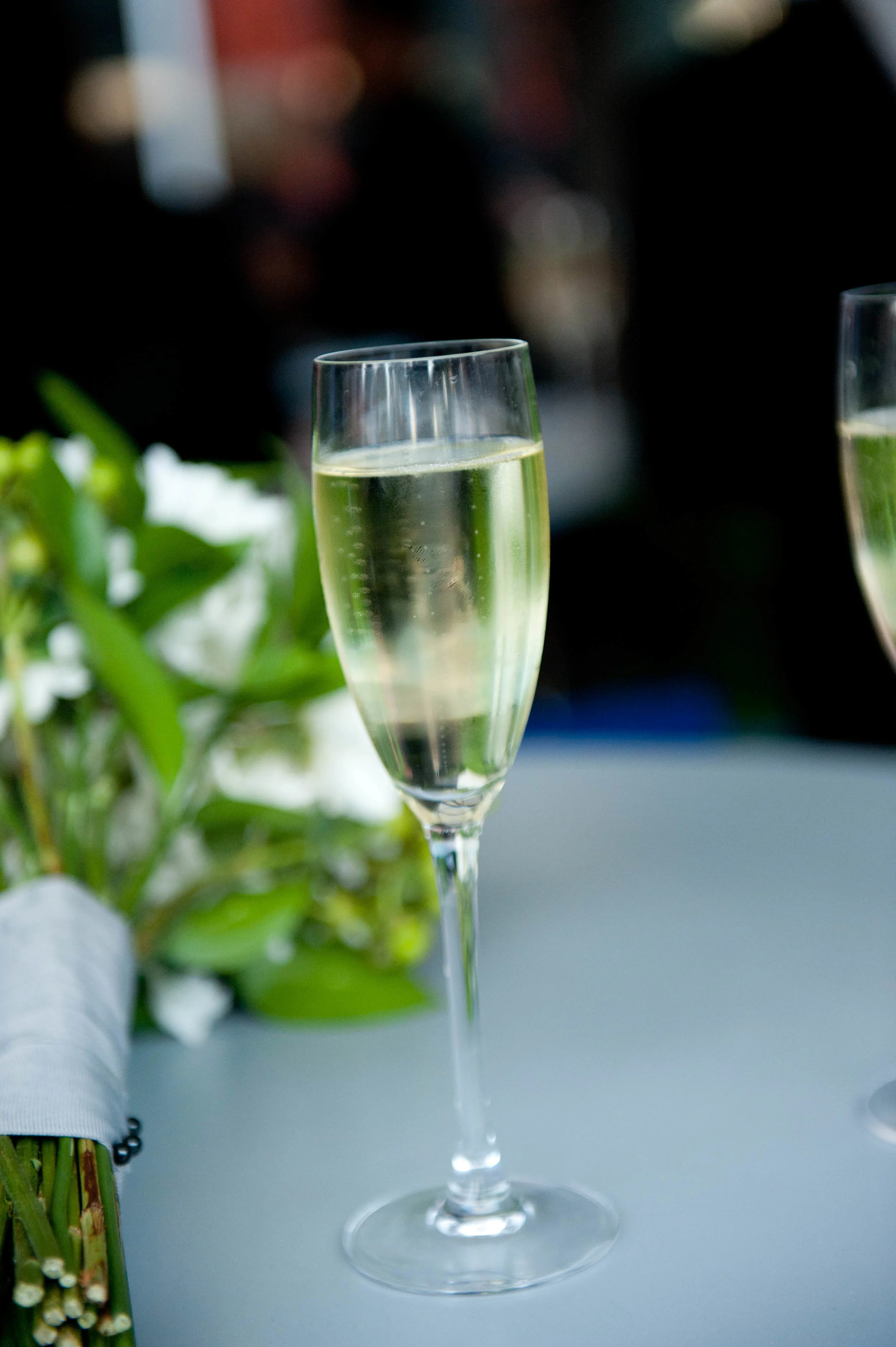 Royal_Sonesta_Cambridge_Wedding-21.jpg