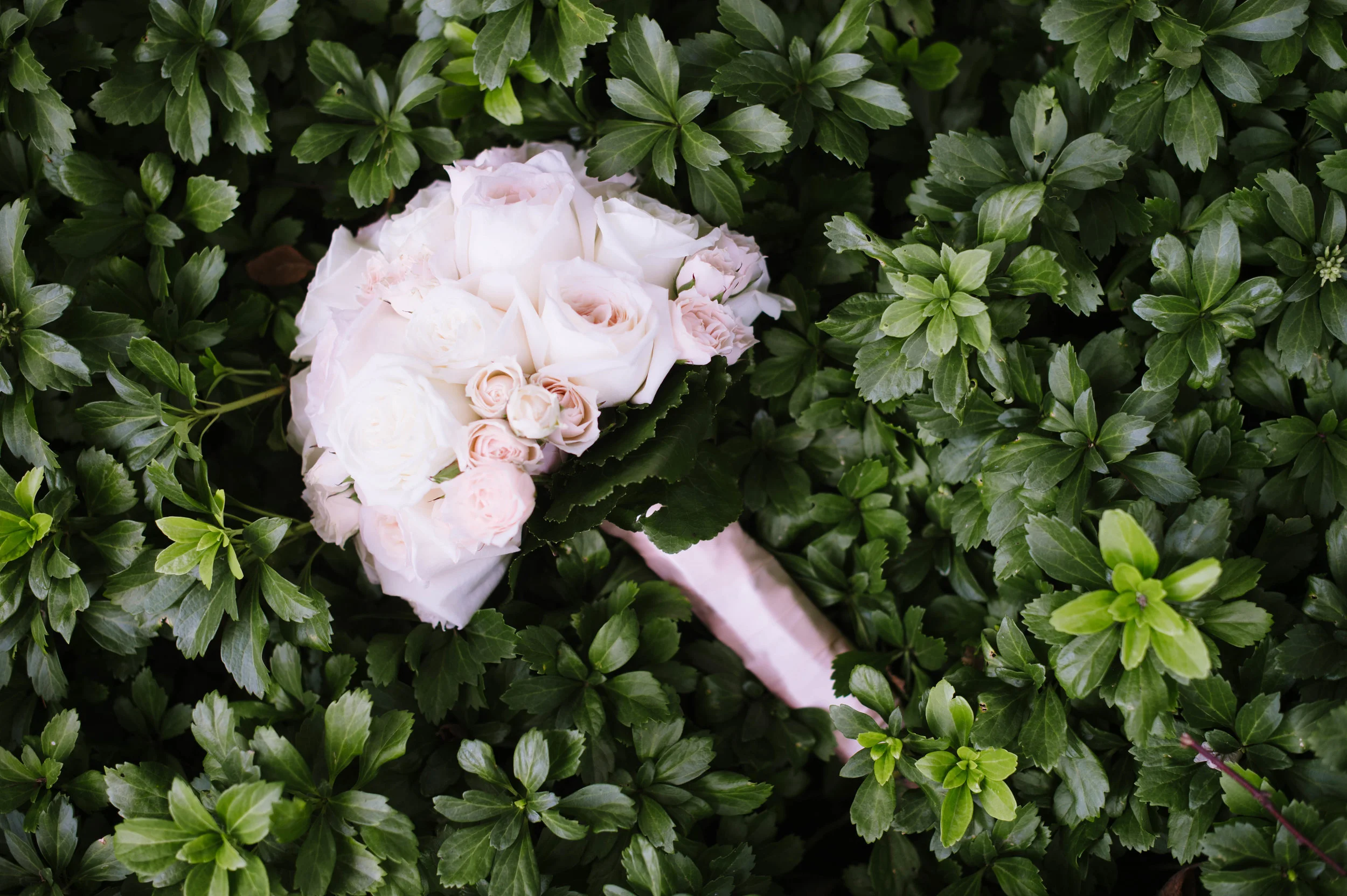 Longmeadow-Country-Club-Wedding015.jpg