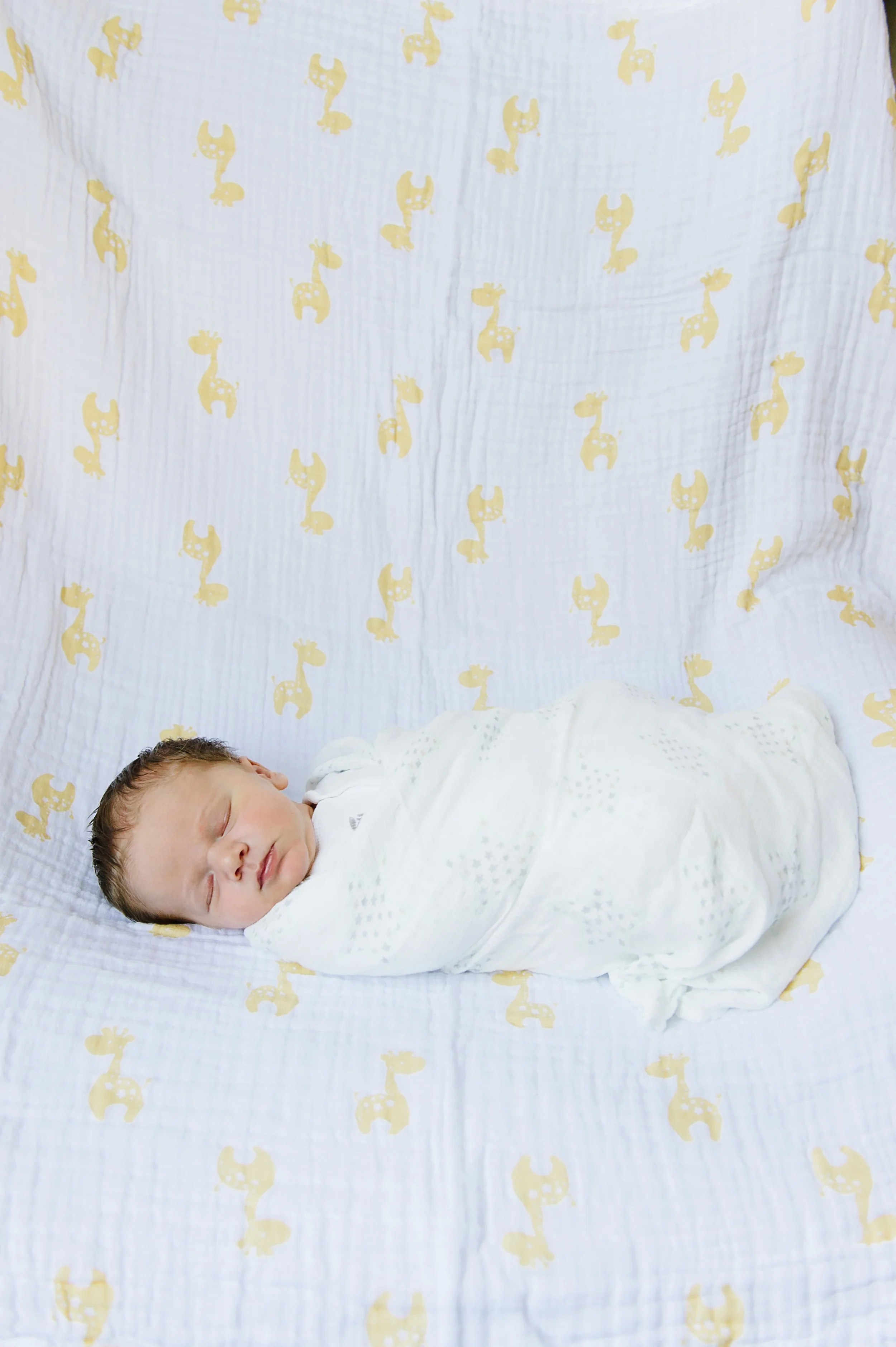 Katie-Noble-Photography006.jpg