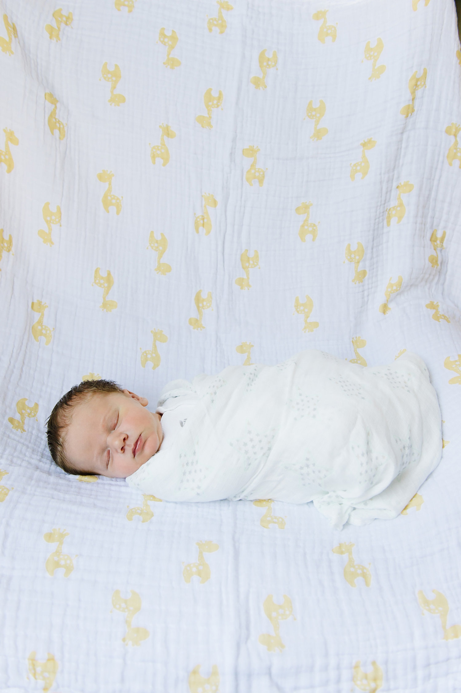 Family Storytelling Photography | Baby Alexander  