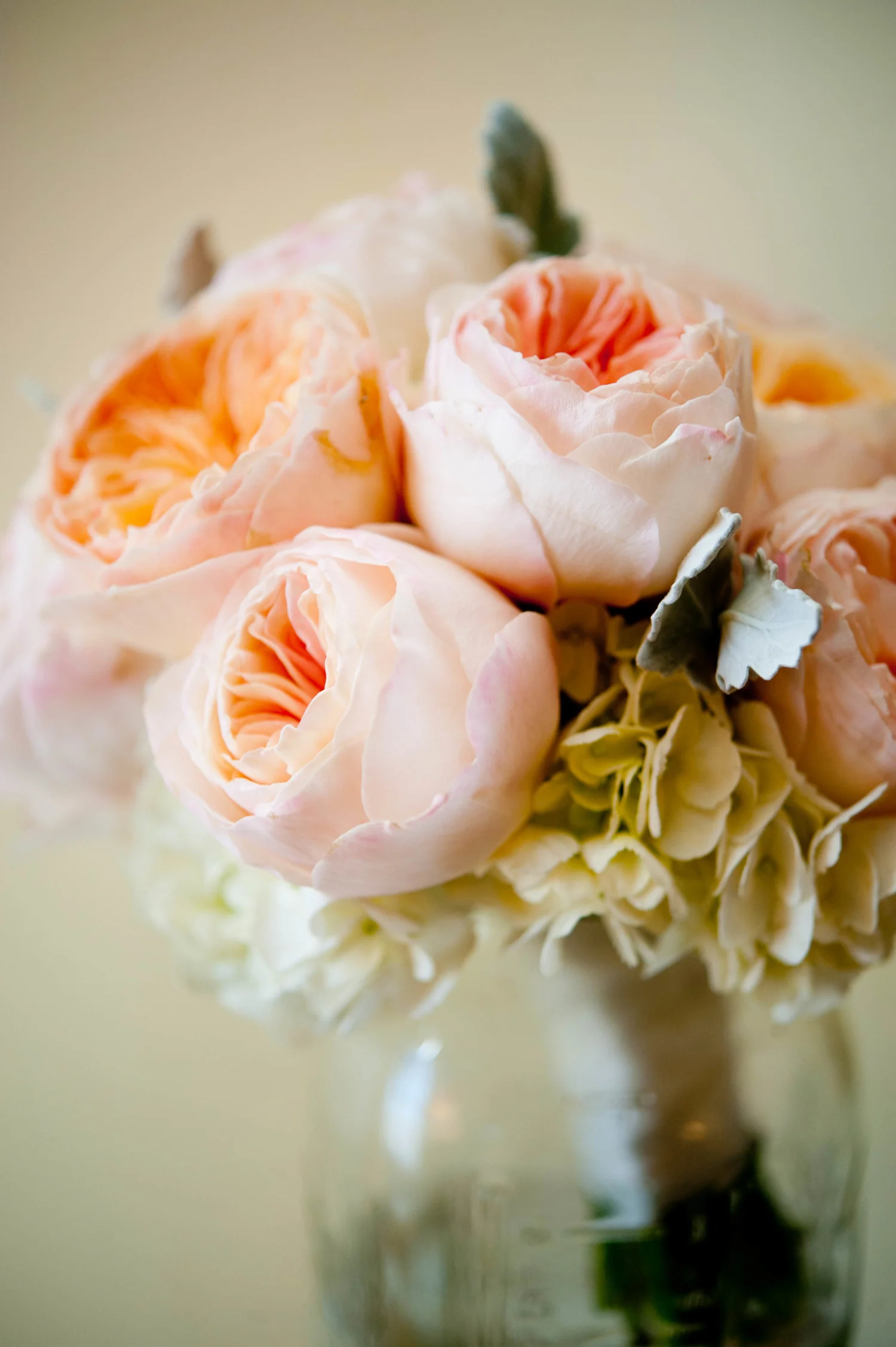Andrea and Justin | Taj Hotel, Boston