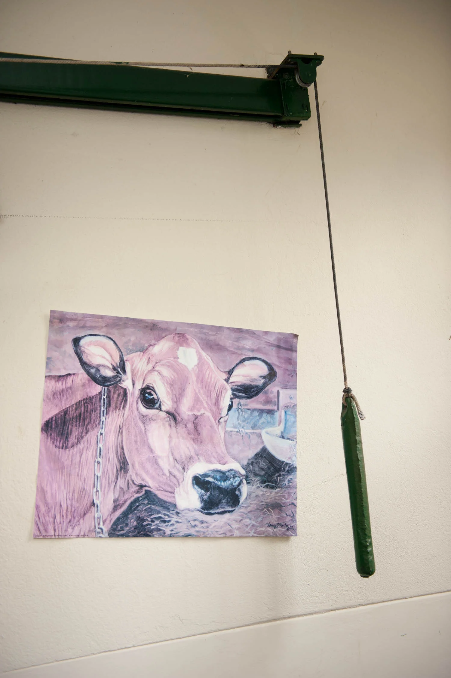 Nobscot Cheese | Framingham, MA