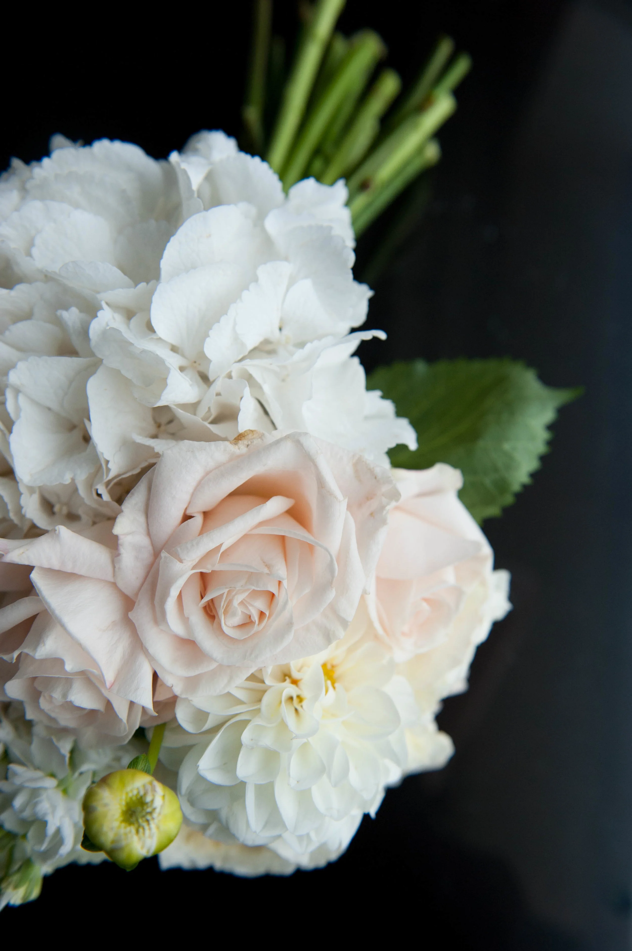 Kate + Marc: Marriott Renaissance Hotel, Boston Waterfront