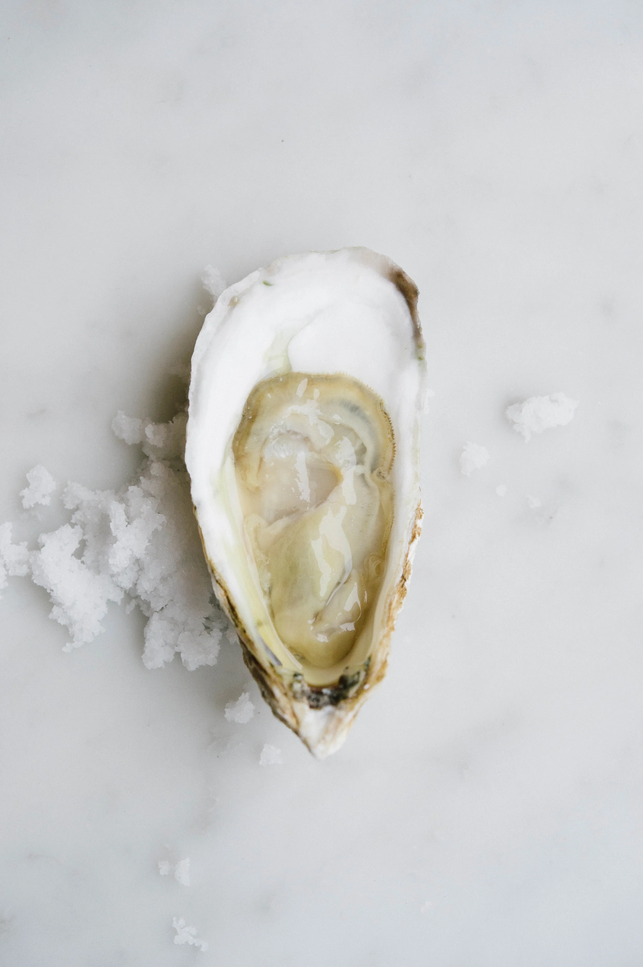 Brine, Newburyport | Northshore Magazine