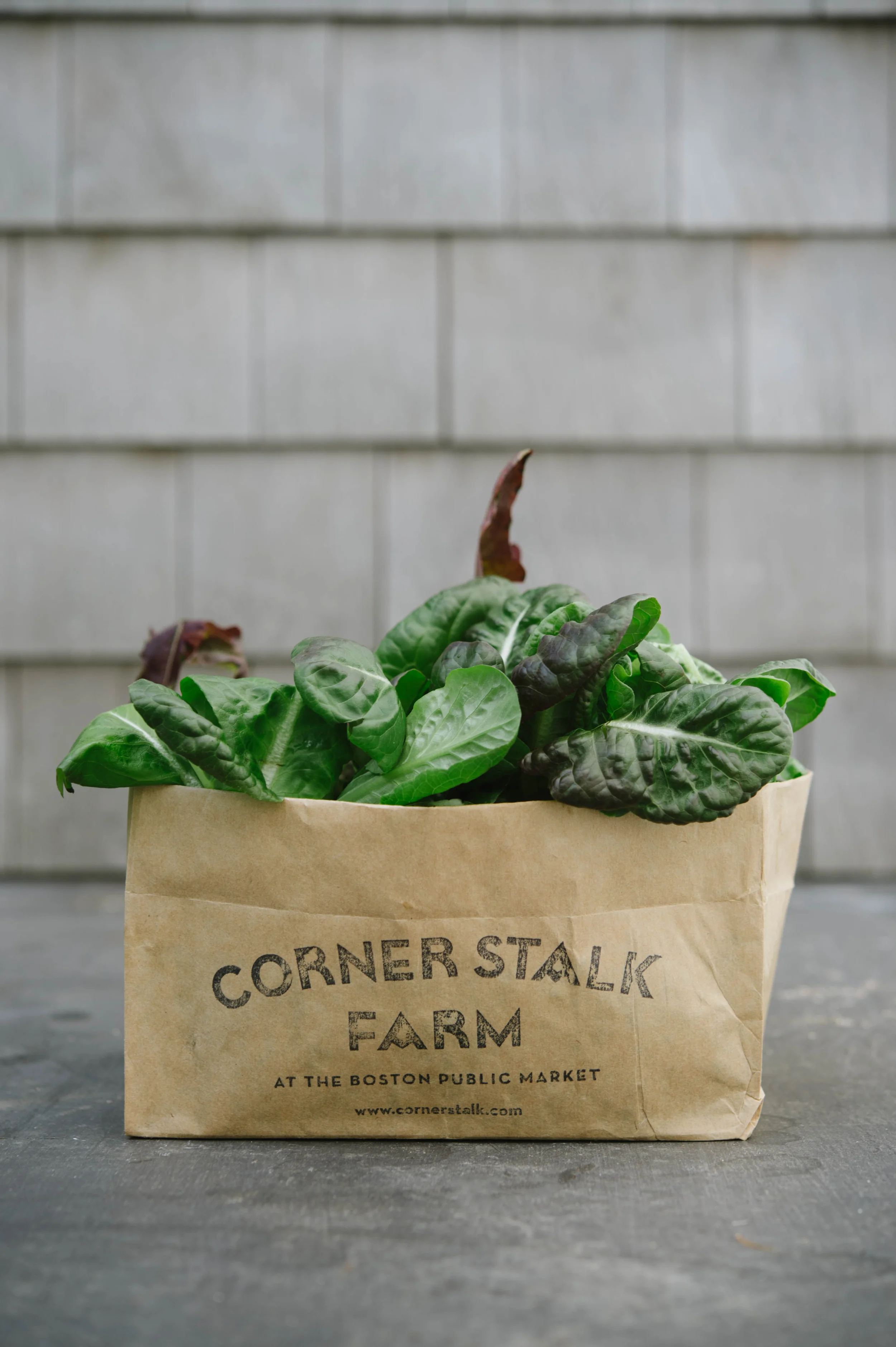 Cornstalk Farm | Edible Boston Magazine