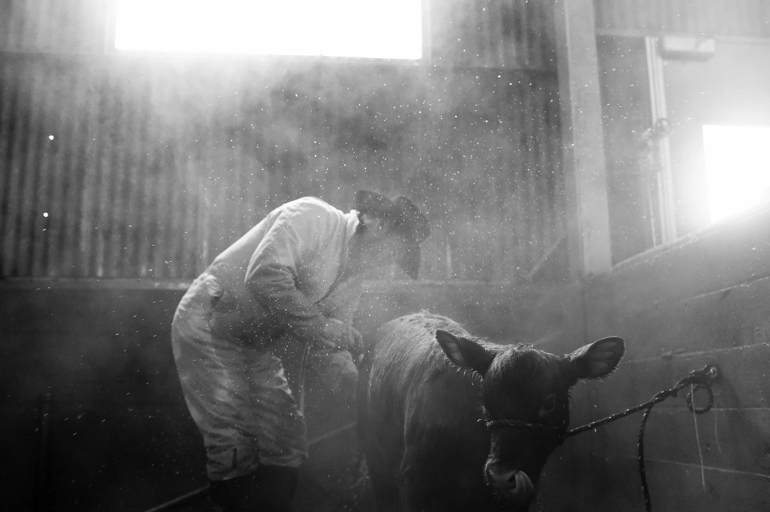 Foundation Workshops | Knees in the Sawdust &amp; Shoes in the Manure