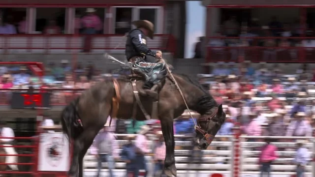 Die Welt der Cowboys - Rodeo und Romantik