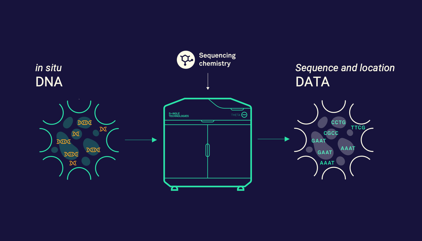Left: add tissue to our flow cells and plug it into the Theta Sequencer. Right: locations and sequencing data generated.