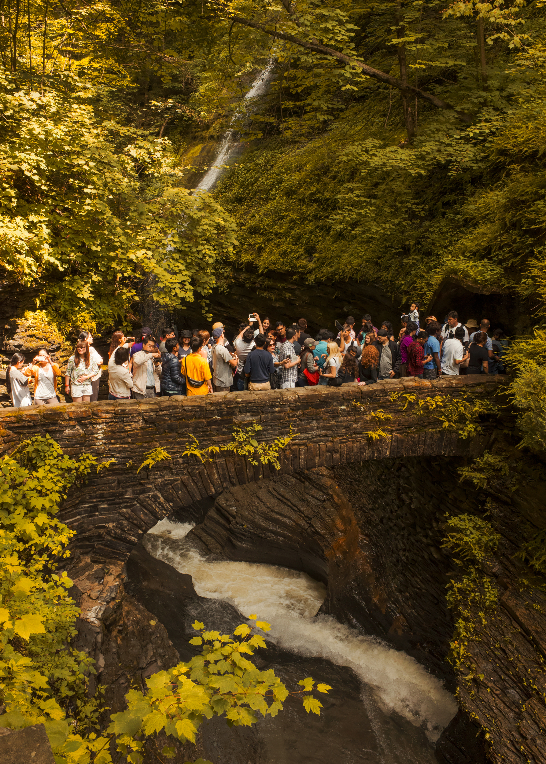 WaterfallBridgeCrowd copy_10Inches.jpg