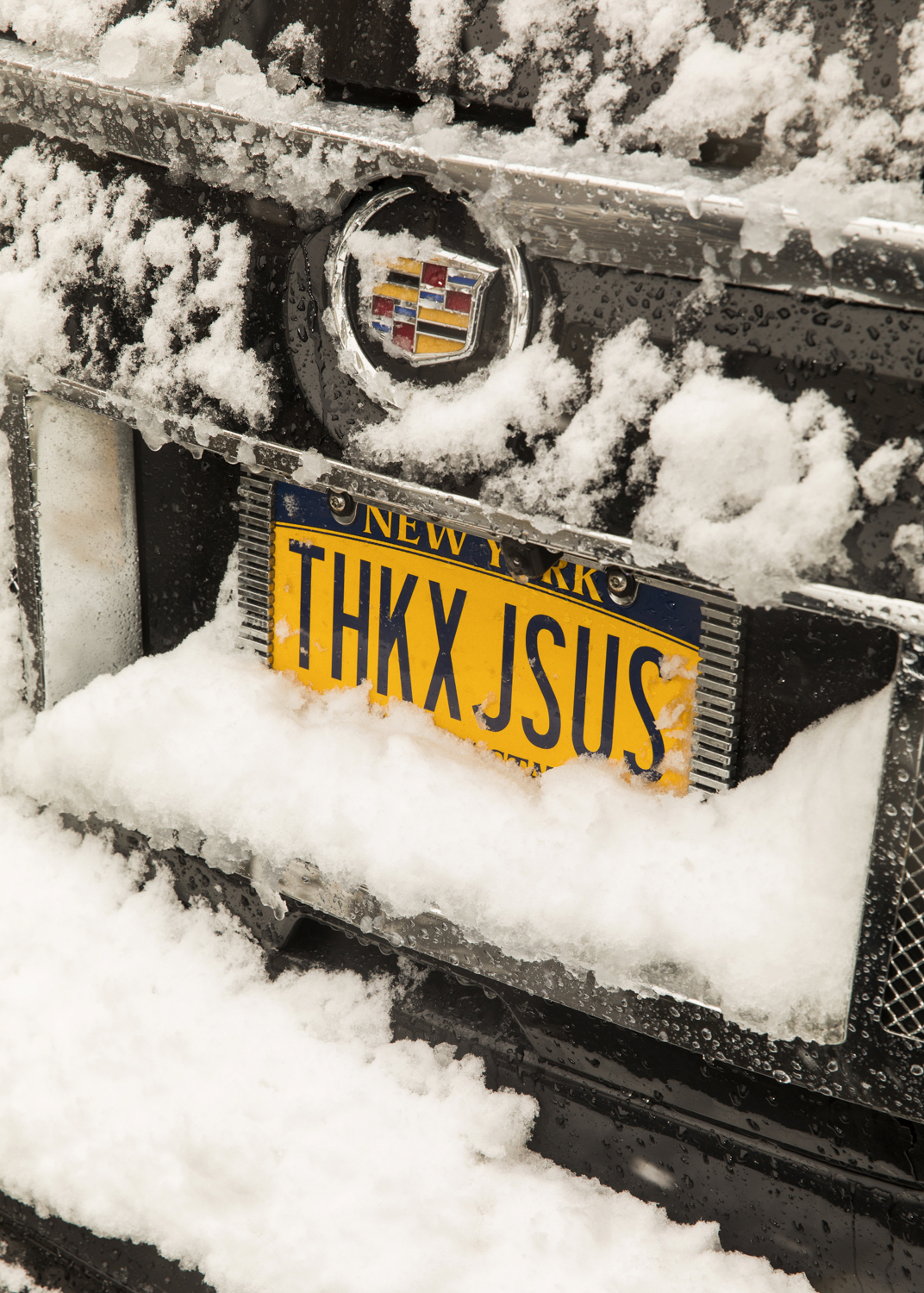 JesusSnowPlate_10in.jpg