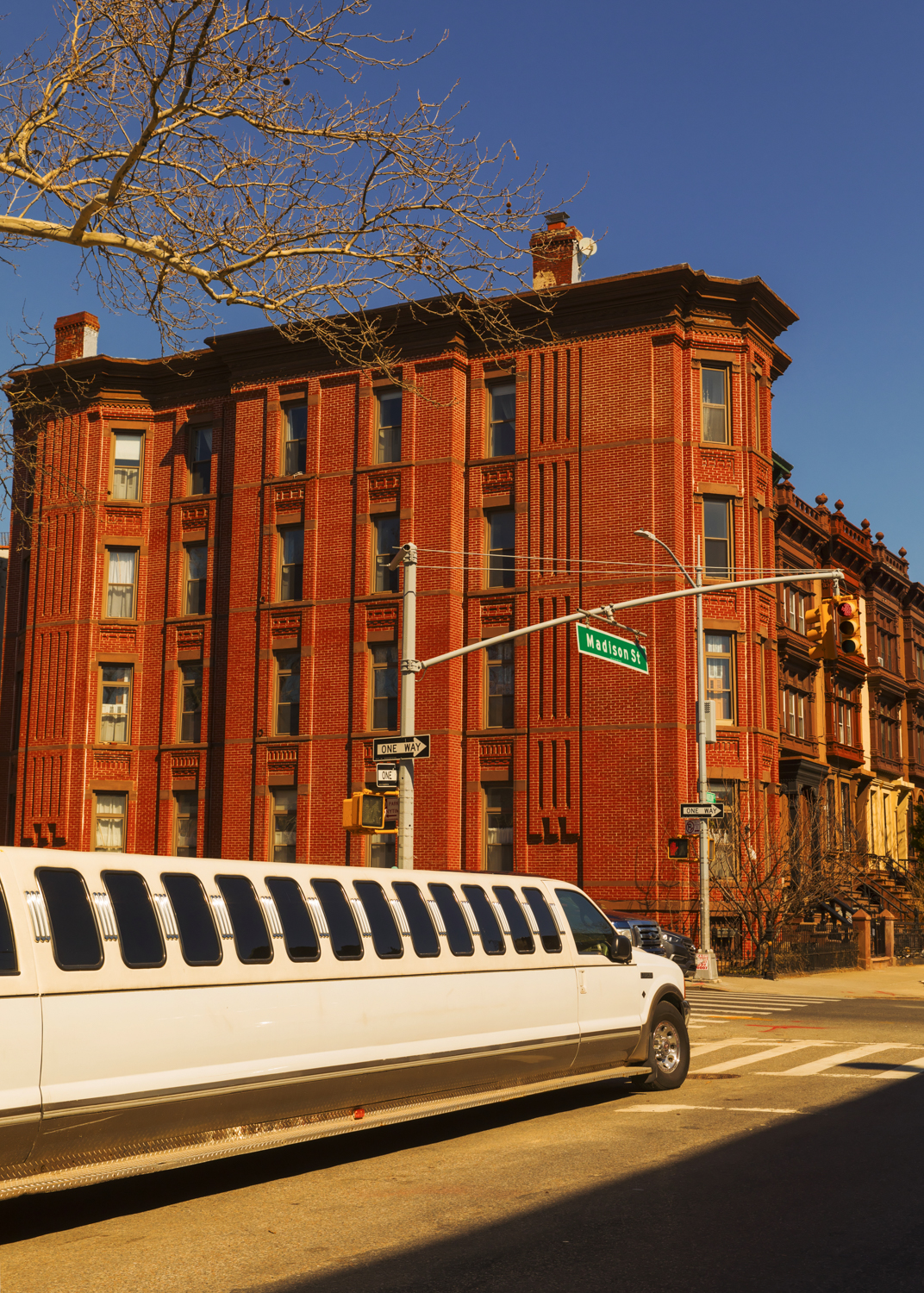 BedStuyLimo_10in.jpg