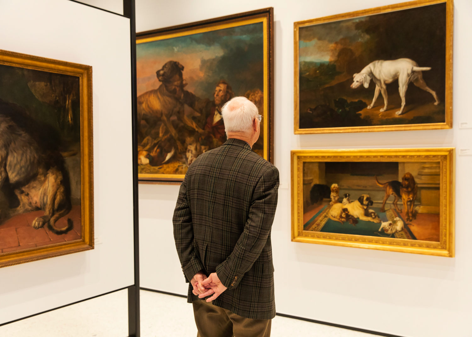 AKC MUSEUM OF THE DOG THE NEW YORK TIMES