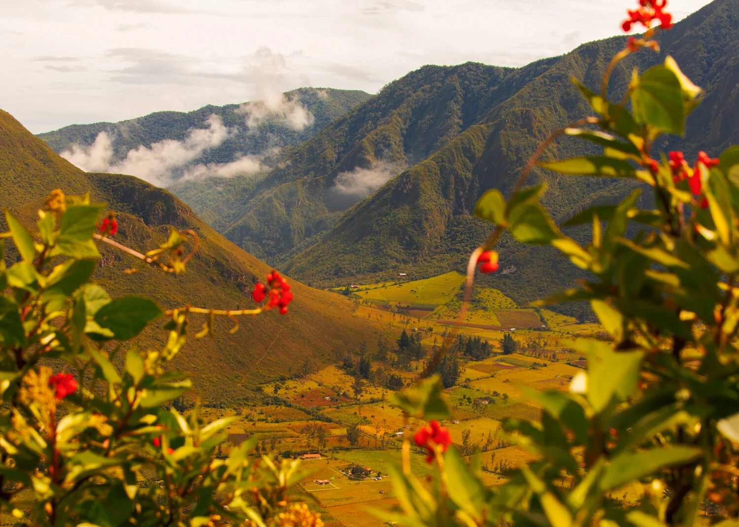 LMandel_Quito_Landscape_006_web.jpg